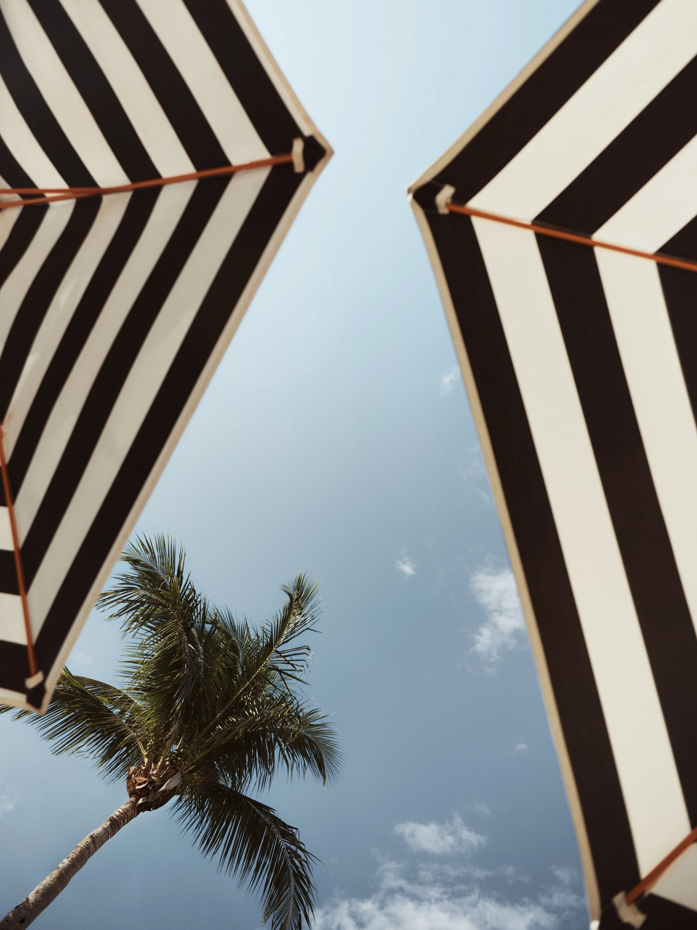 20052_Hyatt Zilara Riviera Maya_004_0349.jpg