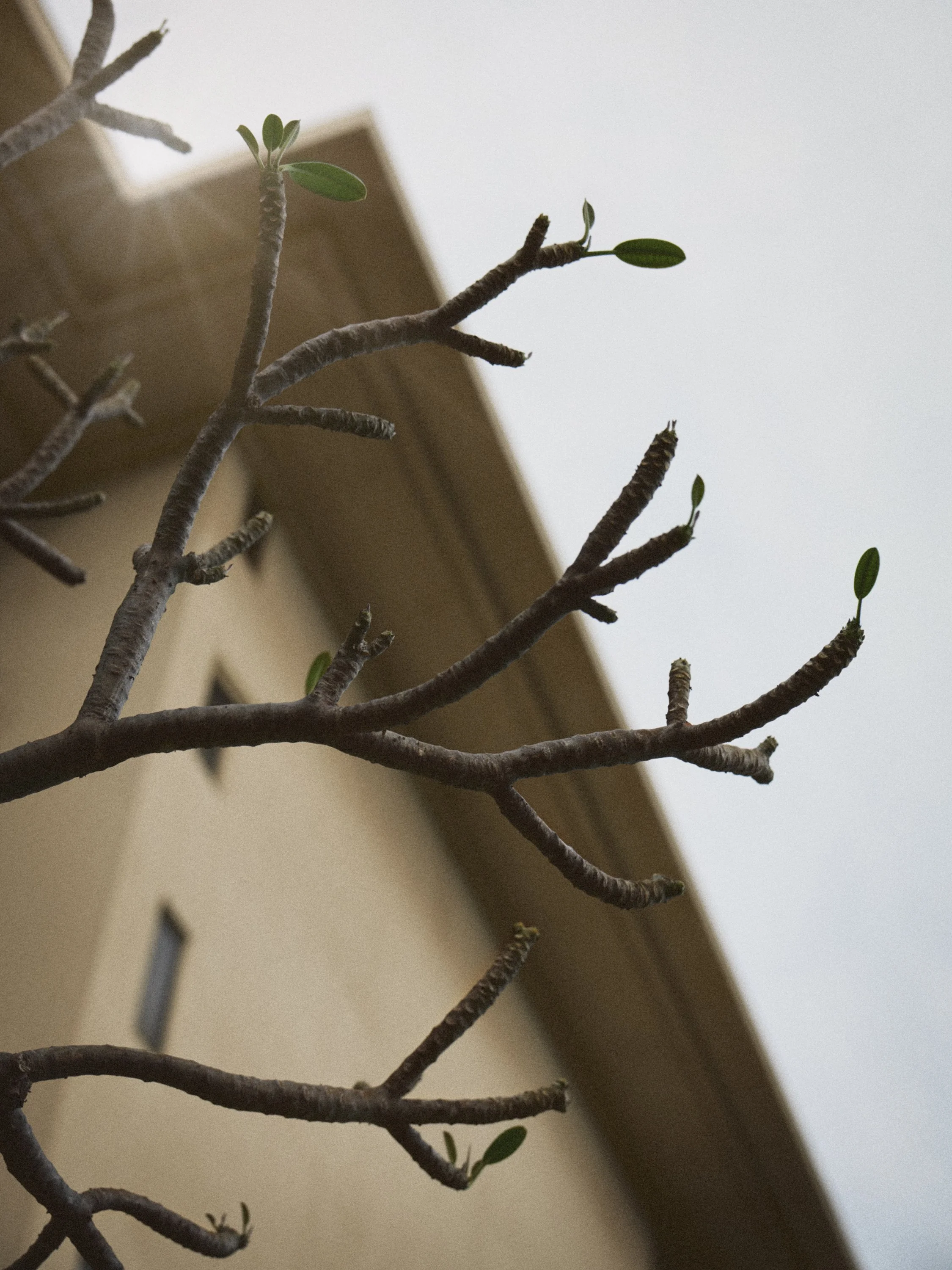 20057_Four Seasons Maui_0068.jpg