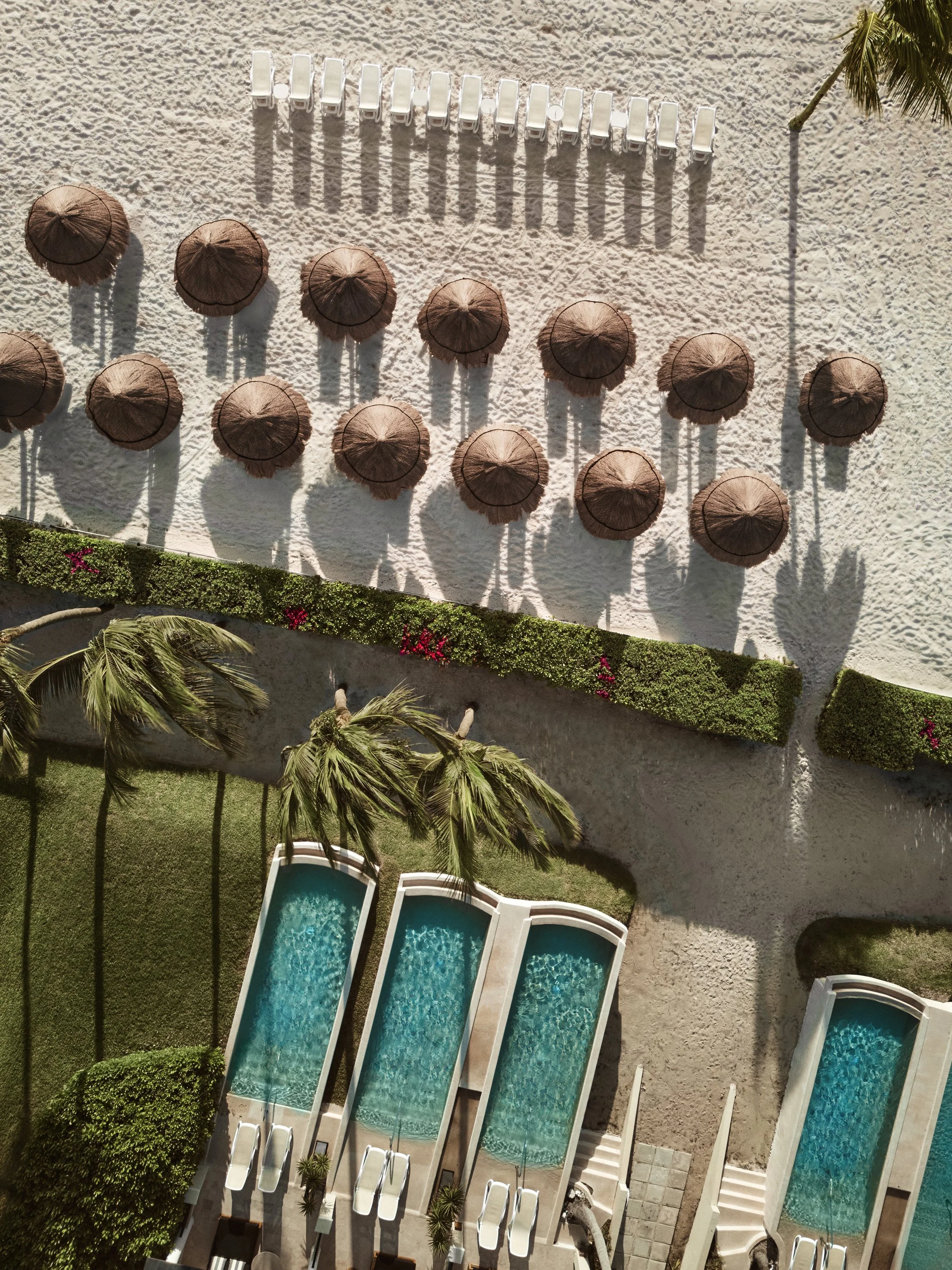 20052_Hyatt Zilara Riviera Maya_021_DJI_20251121081700_0035_D.jpg