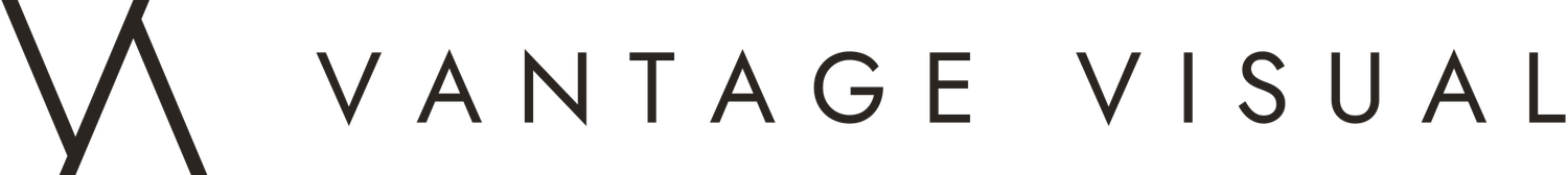 Vantage Visual Studio