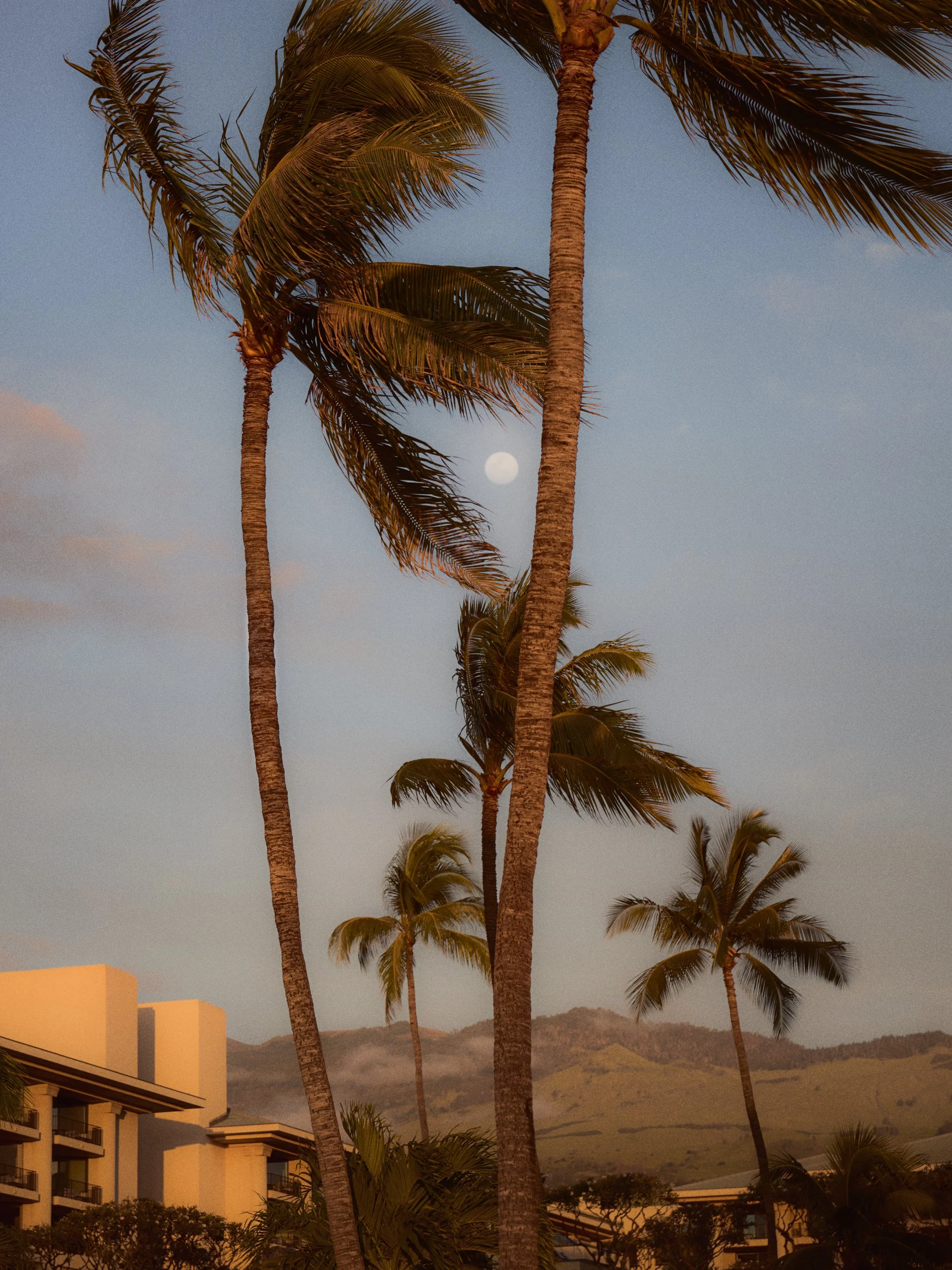 20057_Four Seasons Maui_0483.jpg