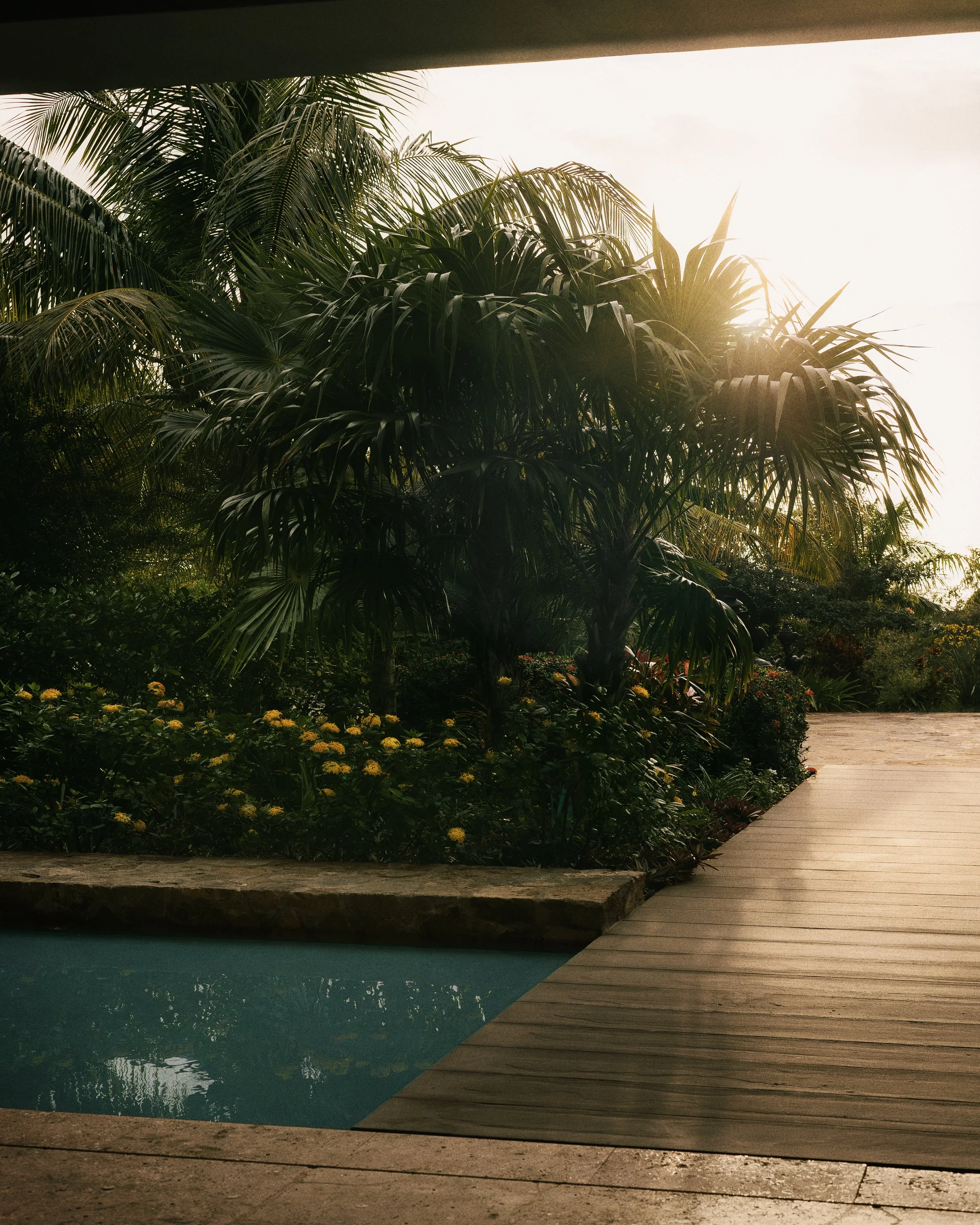 042525_Moskito Island_0510_4x5.jpg