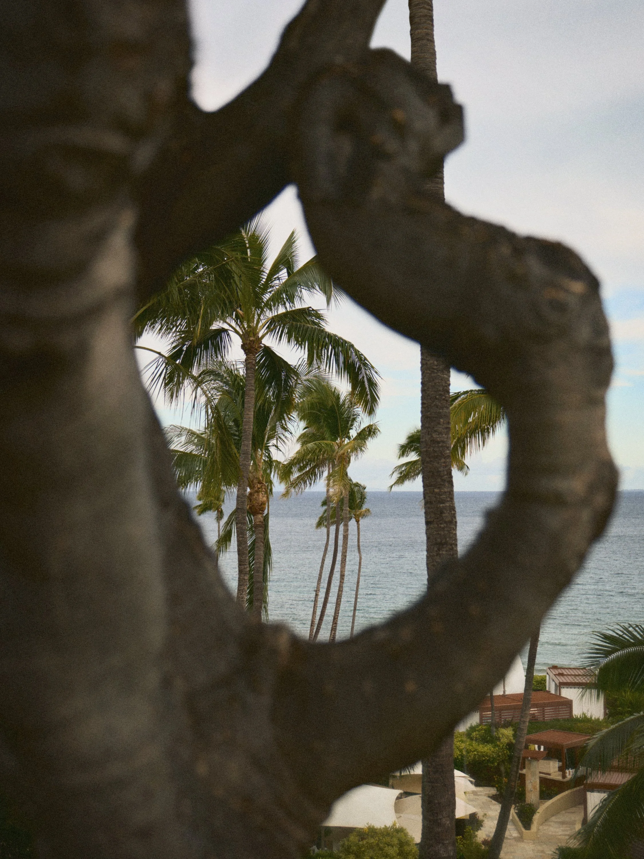 20057_Four Seasons Maui_0076.jpg