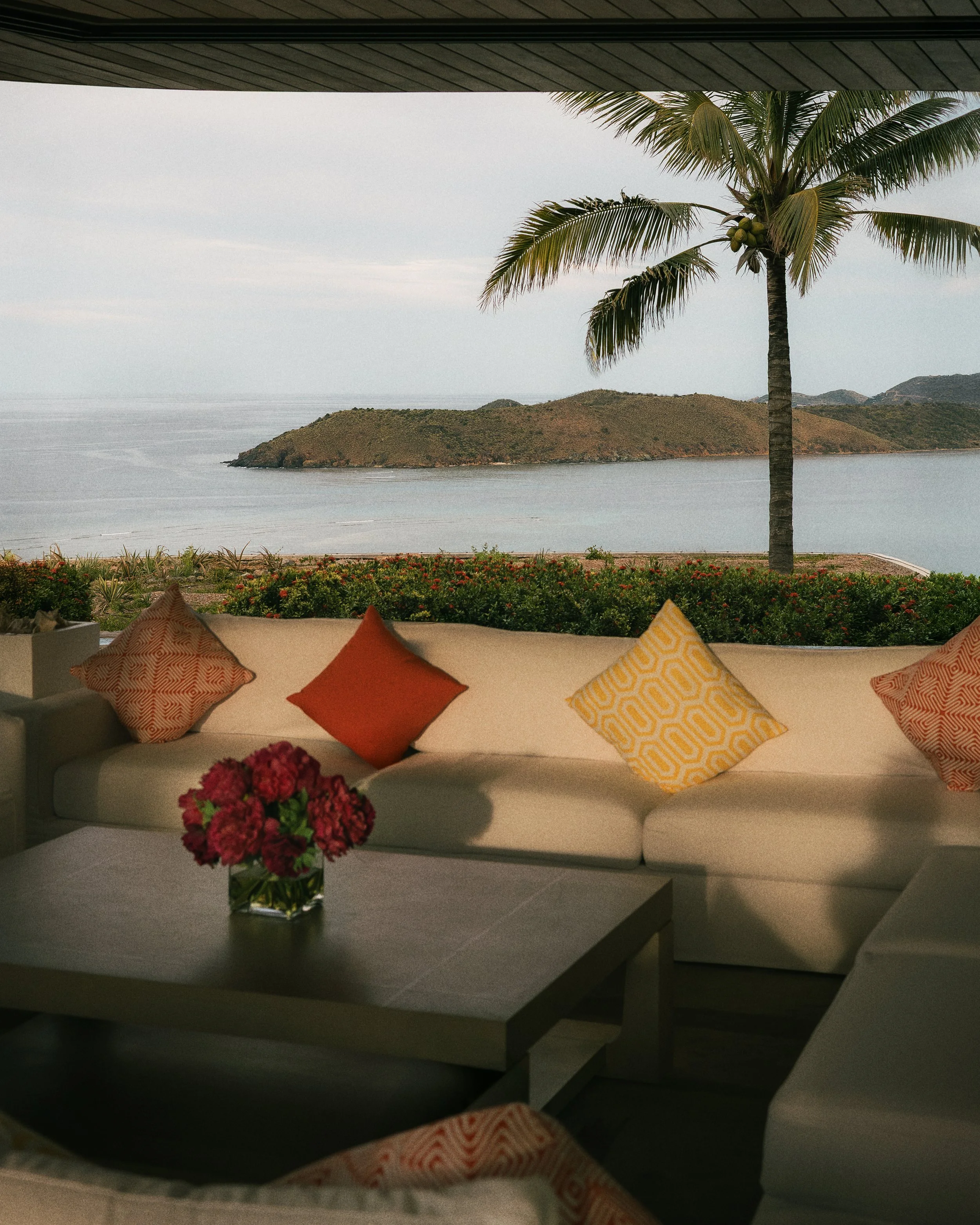 042525_Moskito Island_0502_4x5.jpg