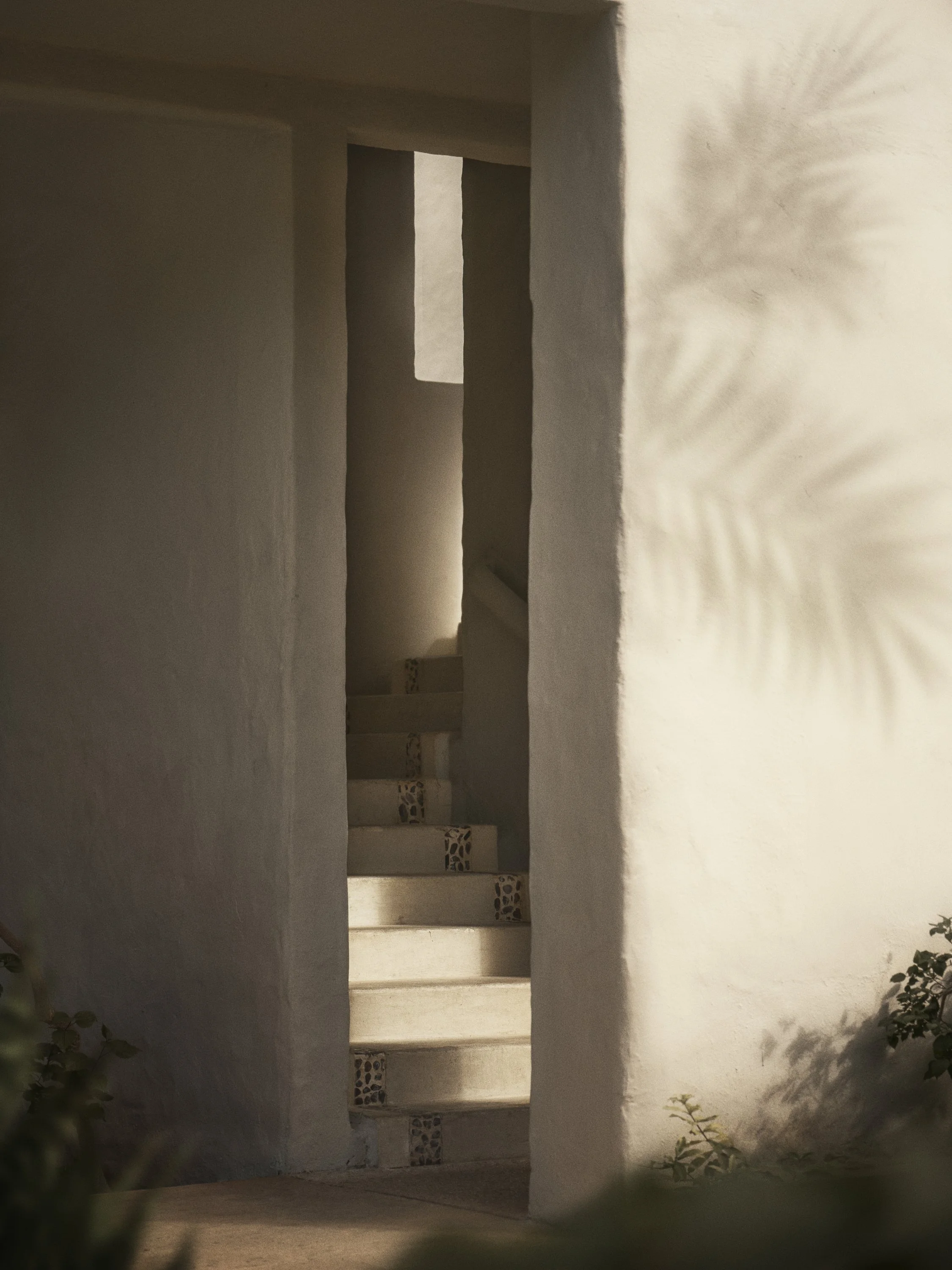 20055_Paraiso de la Bonita_0457.jpg