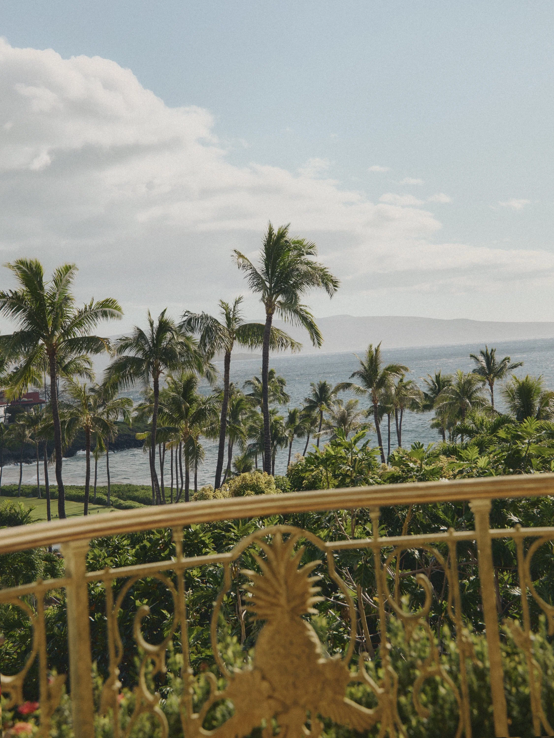 20060_Grand Wailea_0017.jpg