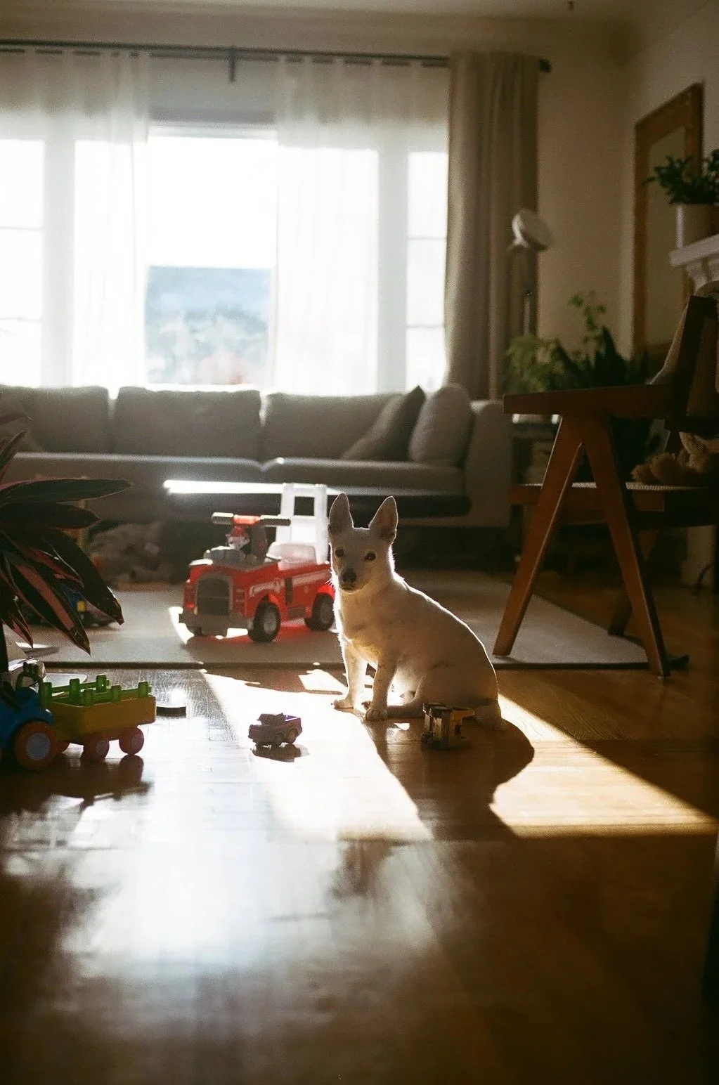 Family Photography in Vancouver, photographing on film. Port Alberni and Tofino Family Film Photographer.