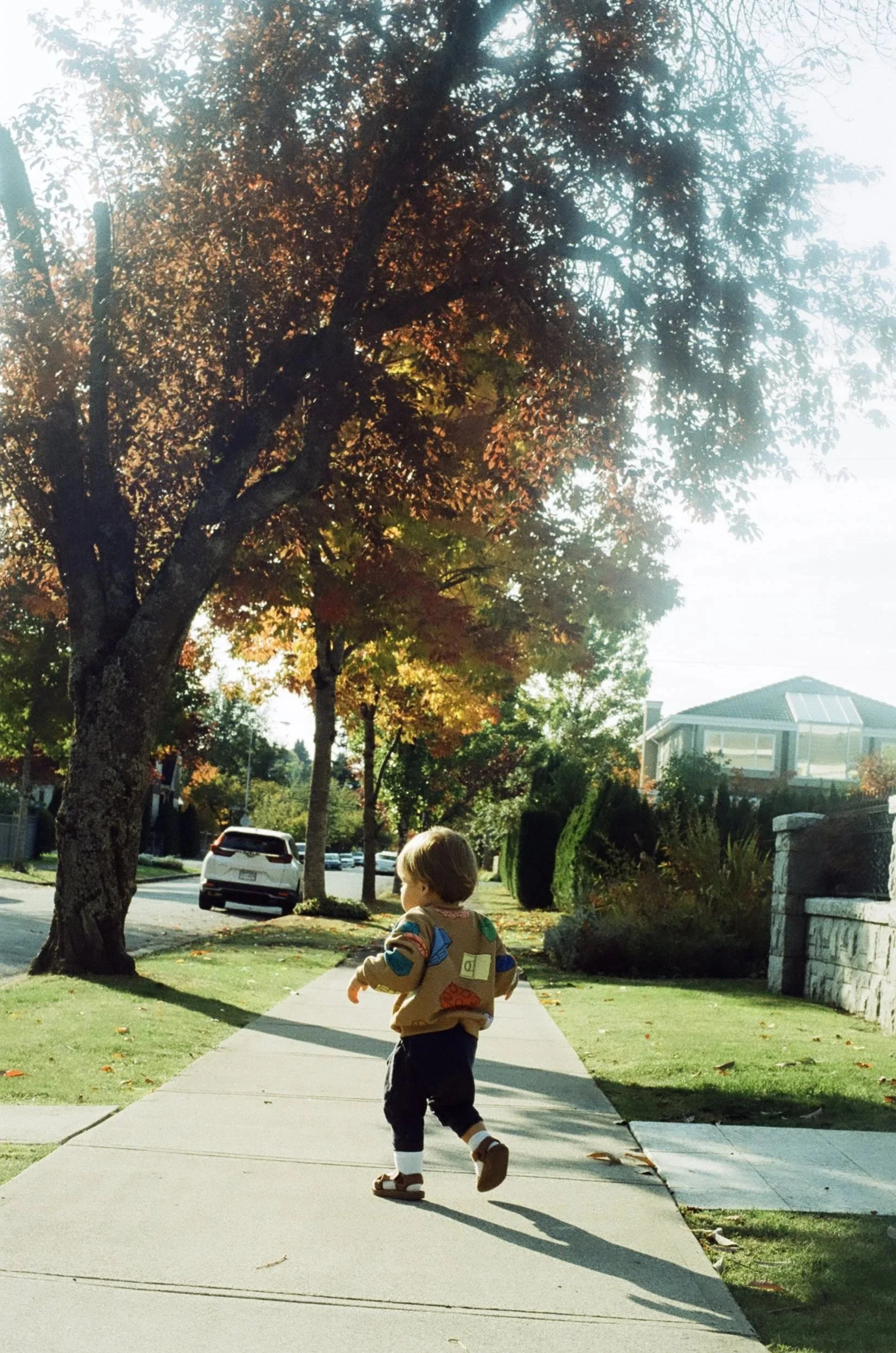 Family Photography in Vancouver, photographing on film. Port Alberni and Tofino Family Film Photographer.