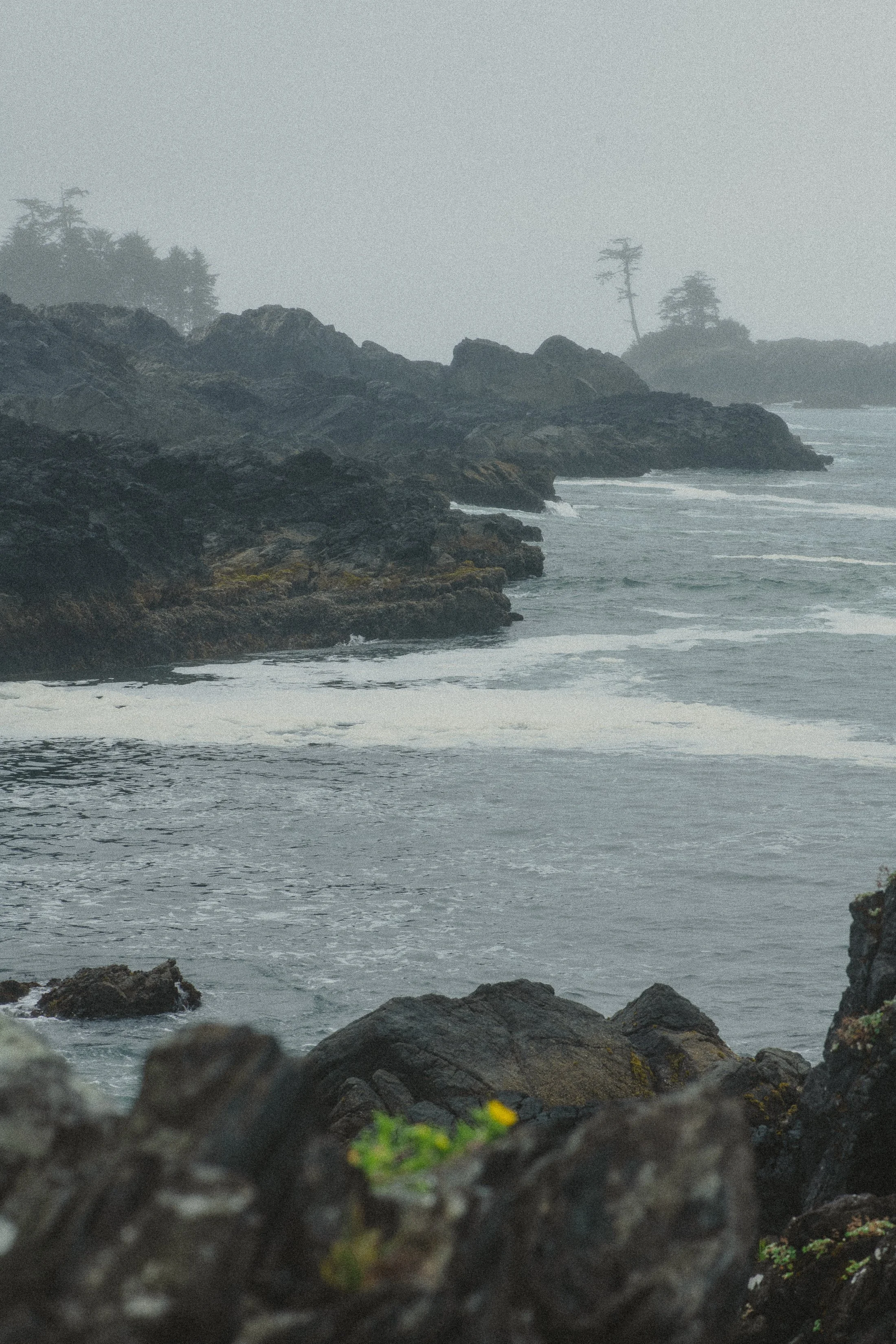 tofino-2024071836.jpg