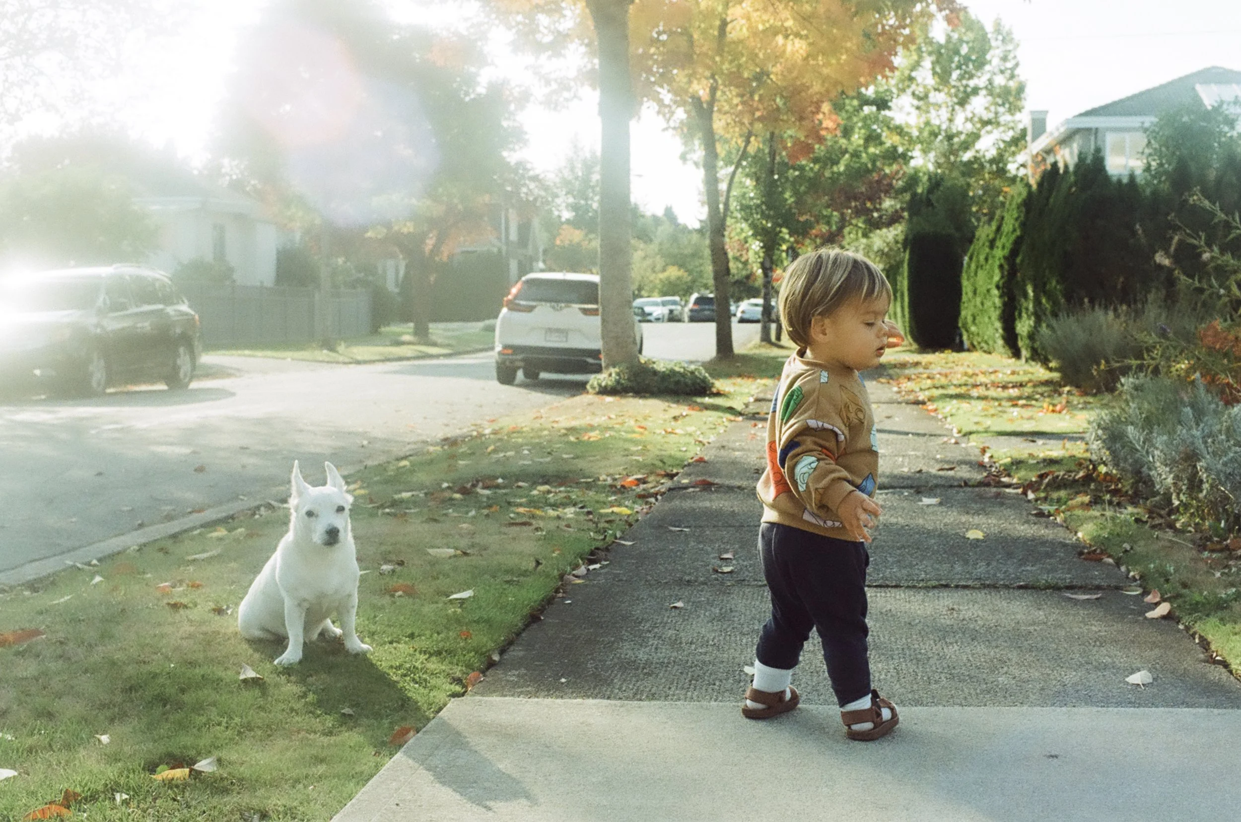 Family Photography in Vancouver, photographing on film. Port Alberni and Tofino Family Film Photographer.