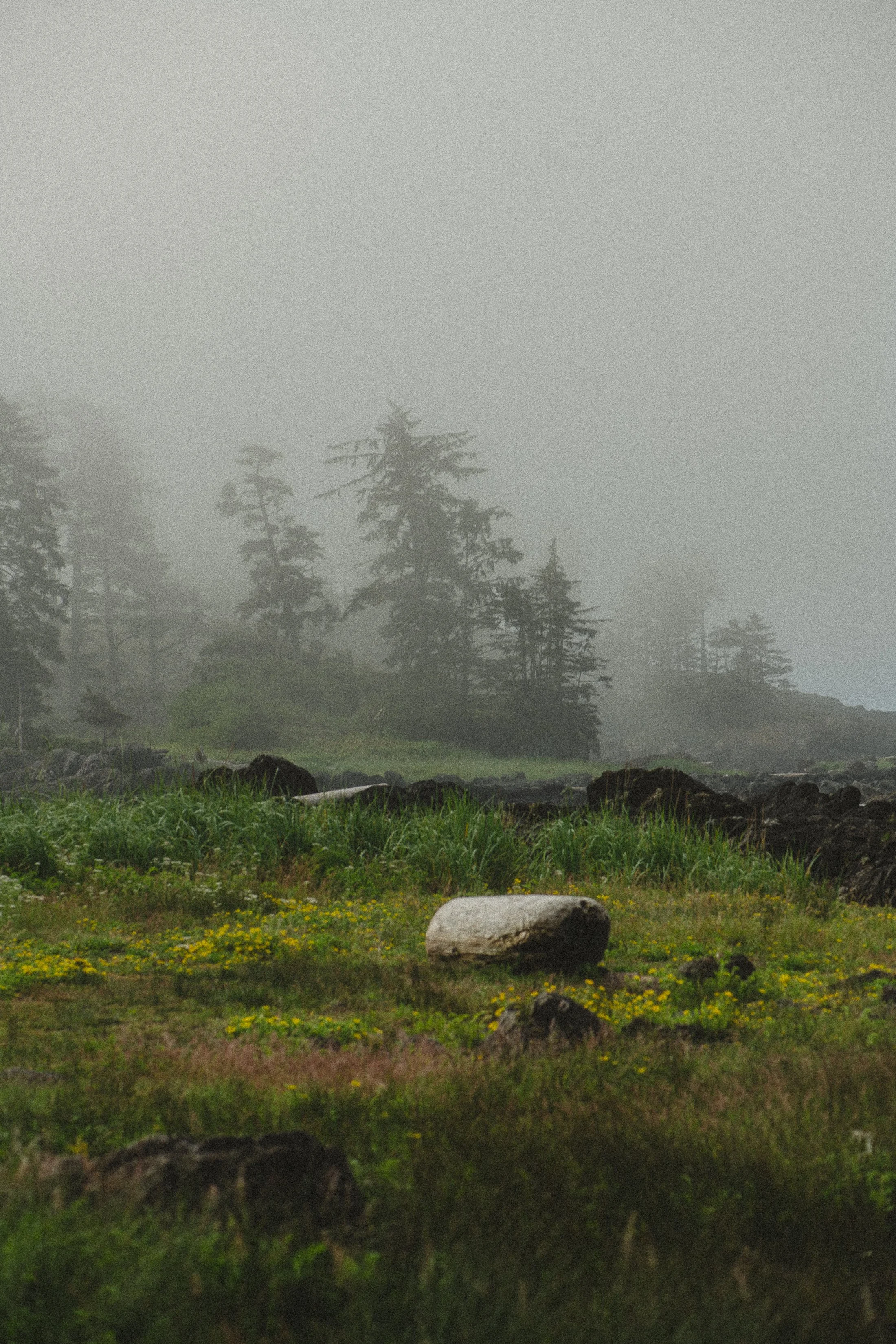 tofino-2024071616.jpg
