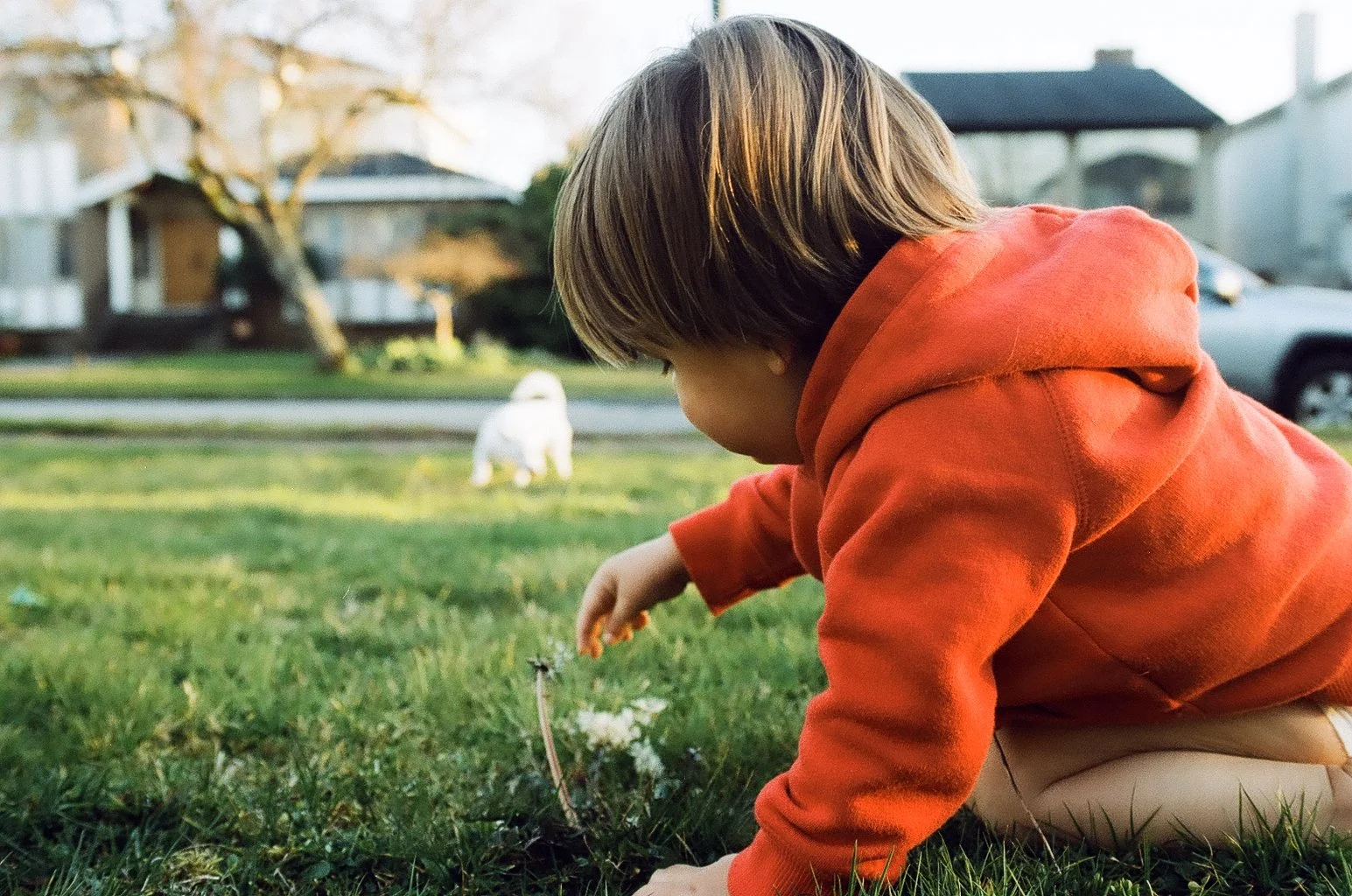 Family Photography in Vancouver, photographing on film. Port Alberni and Tofino Family Film Photographer.