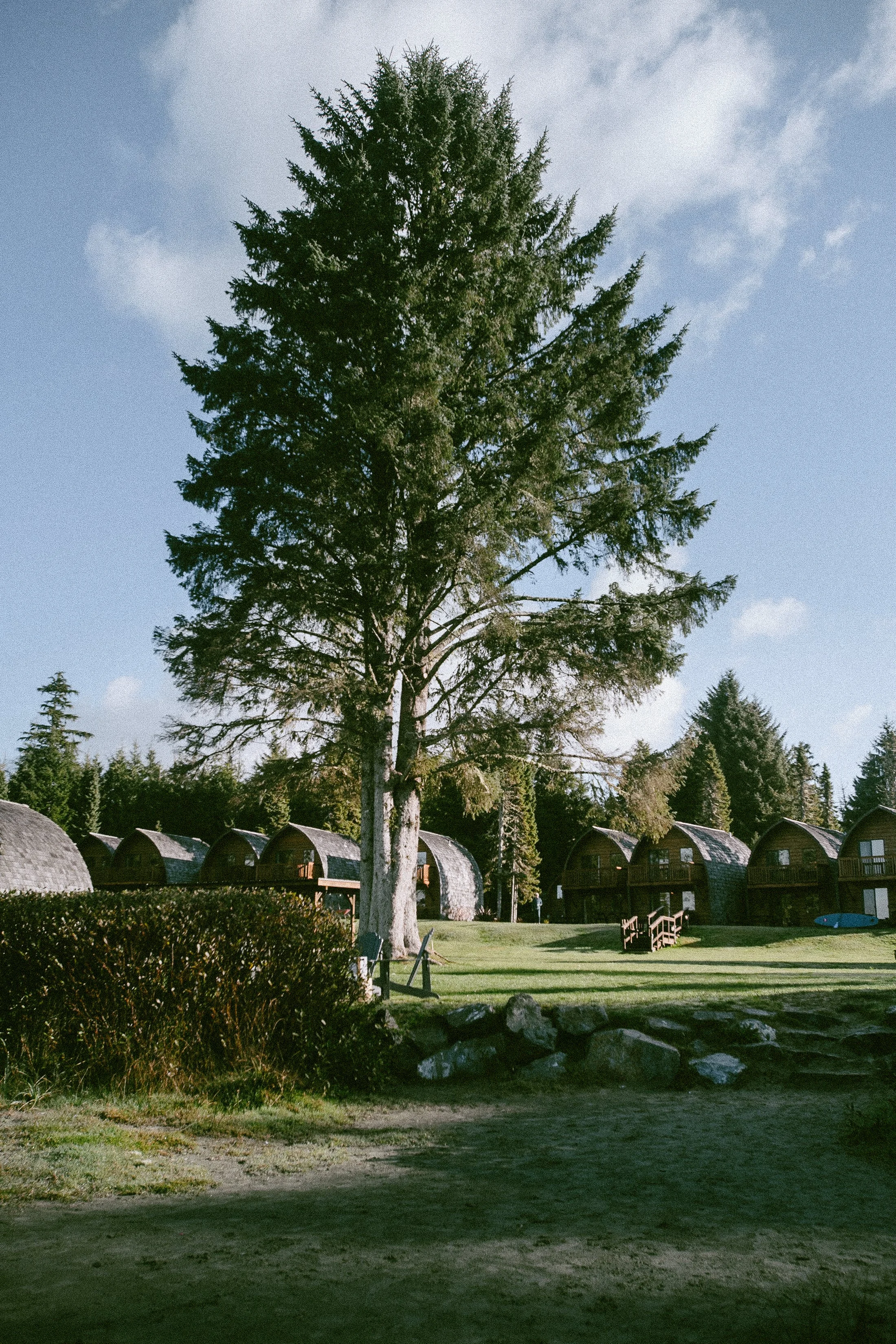 Tofino on Vancouver Island by Valeria Castillo