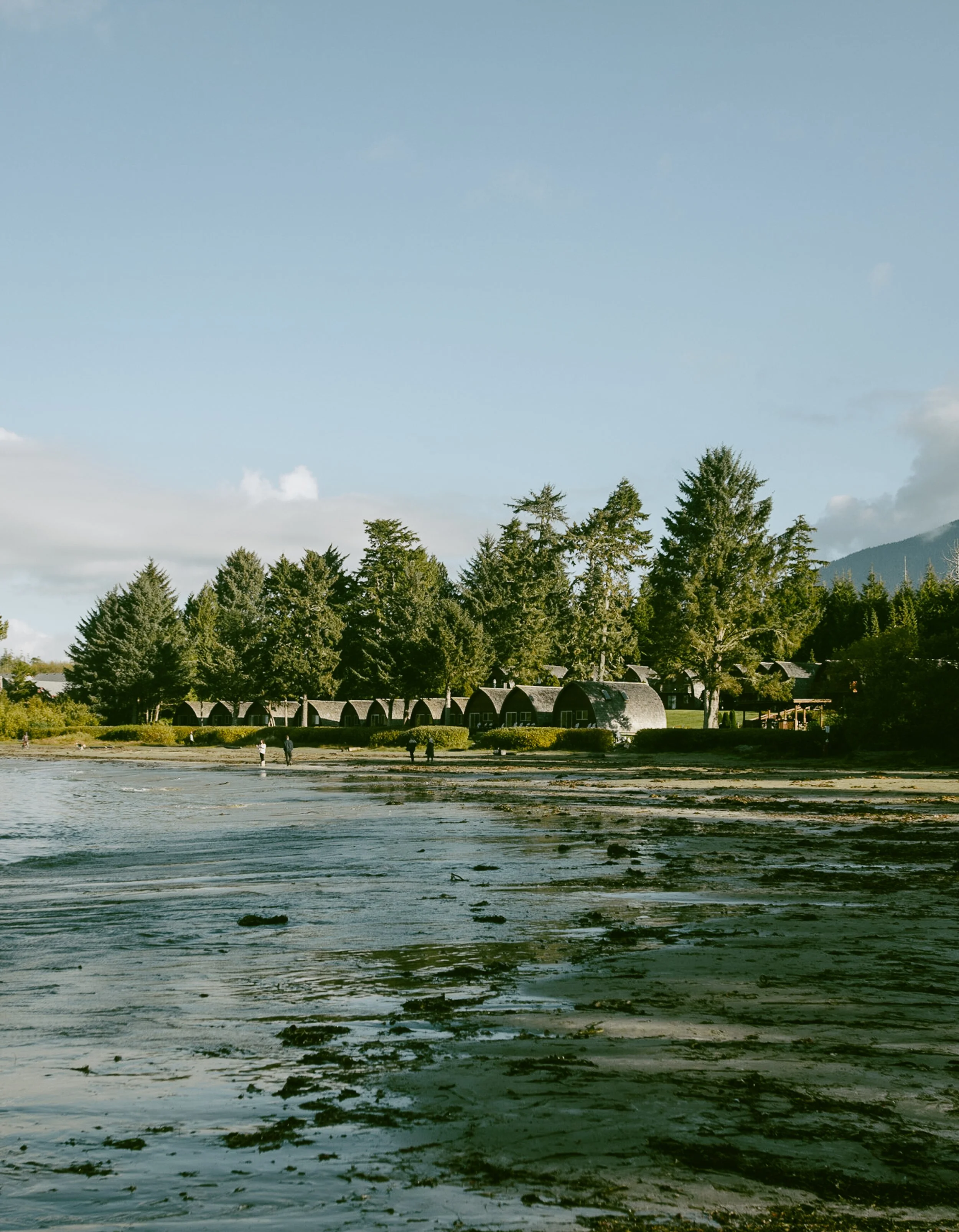 Tofino on Vancouver Island by Valeria Castillo
