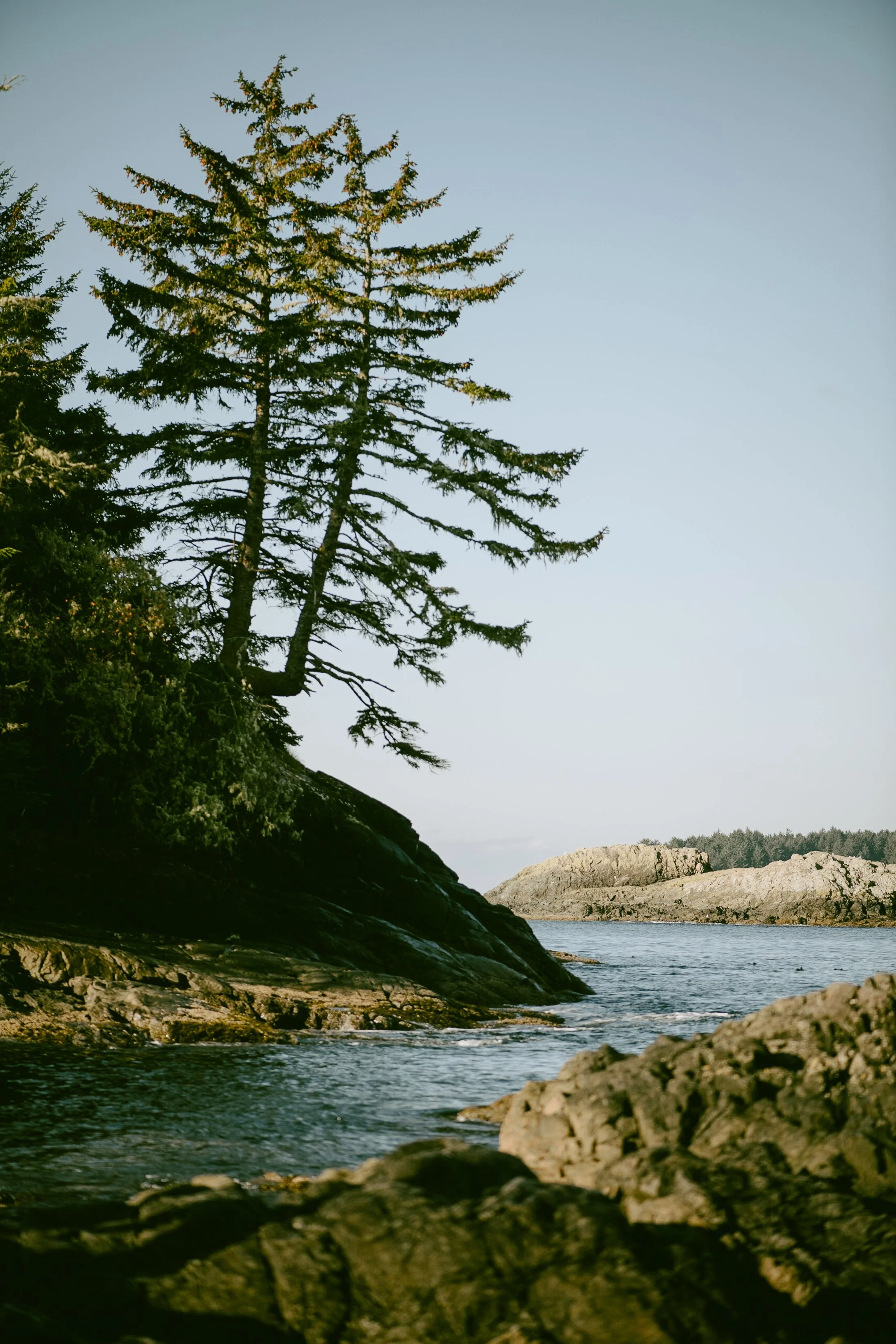 Tofino on Vancouver Island by Valeria Castillo
