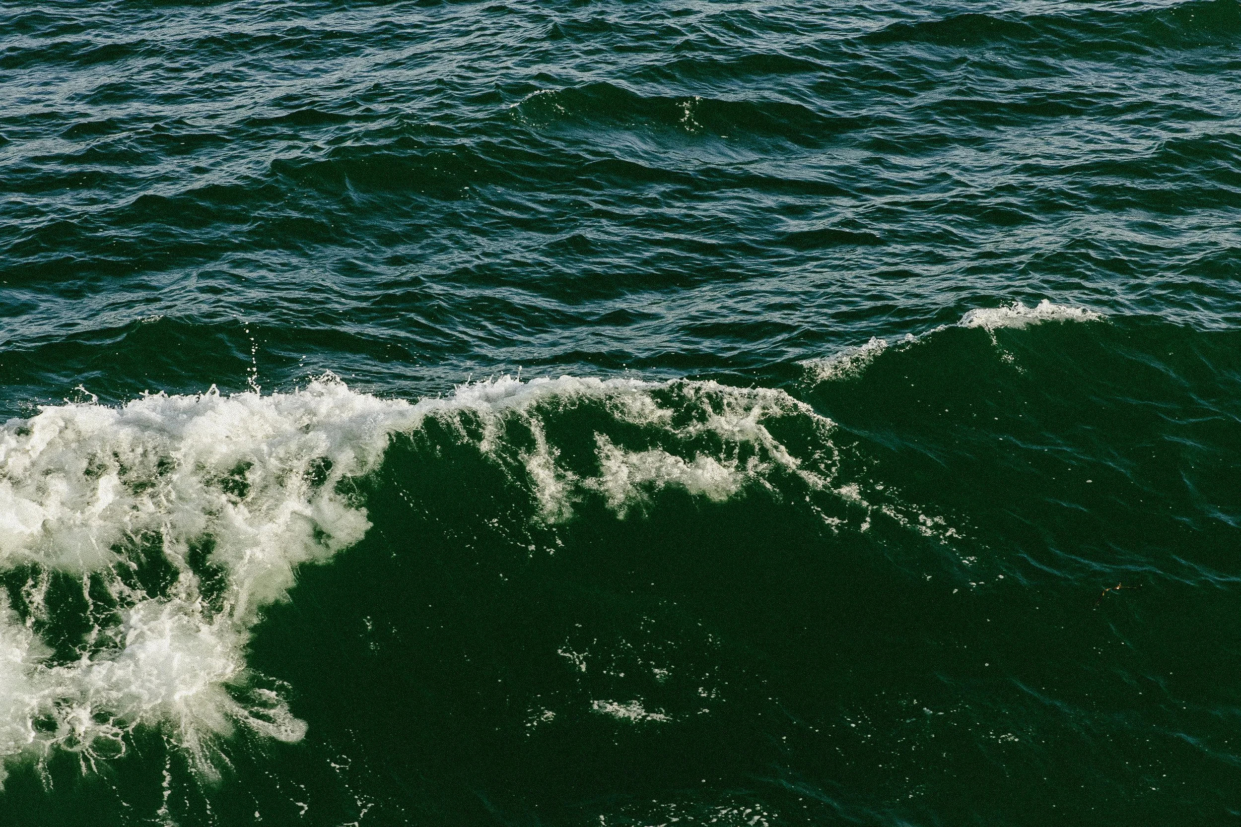 Tofino on Vancouver Island by Valeria Castillo