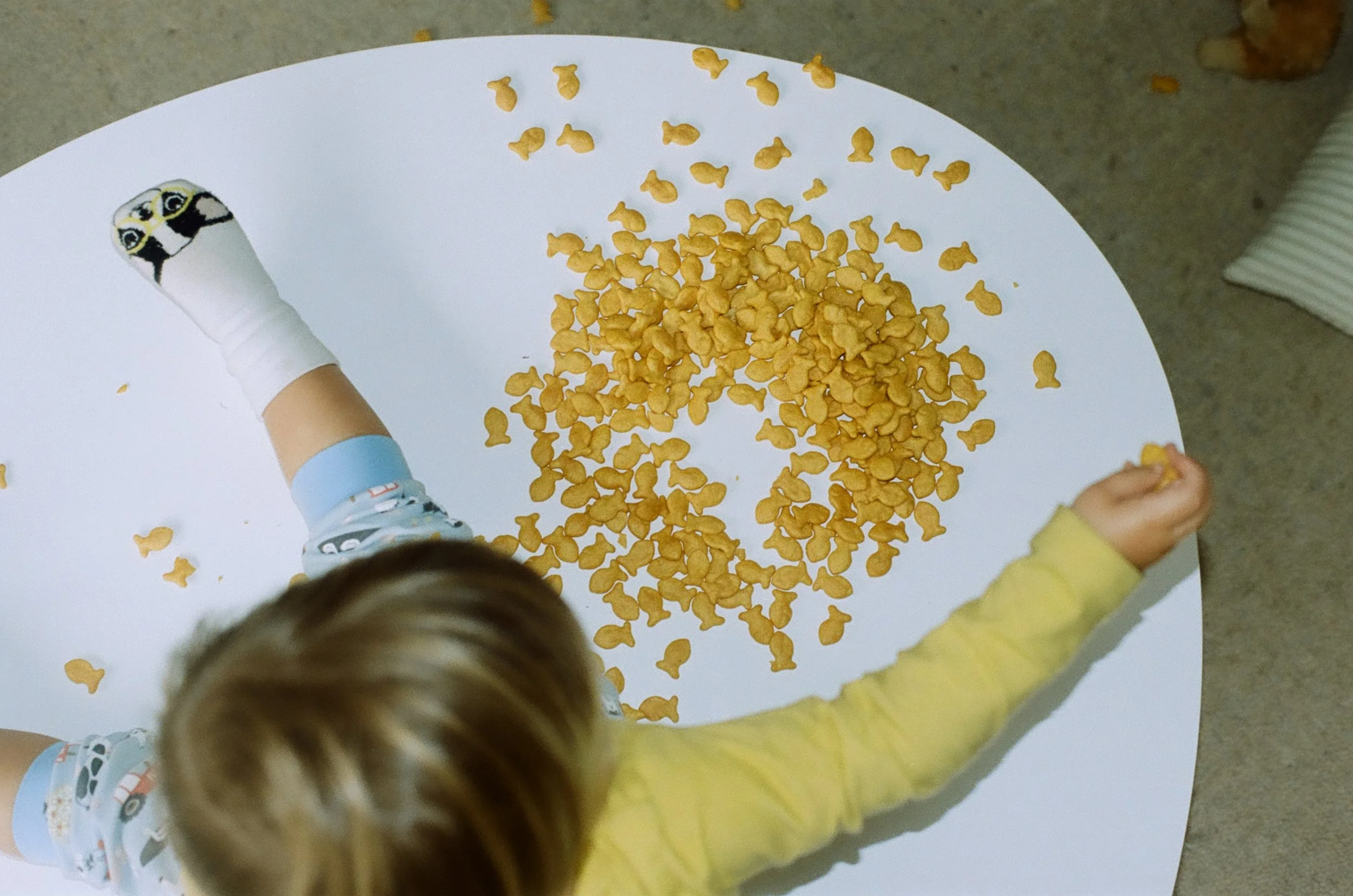 Family Photography in Vancouver, photographing on film. Port Alberni and Tofino Family Film Photographer.