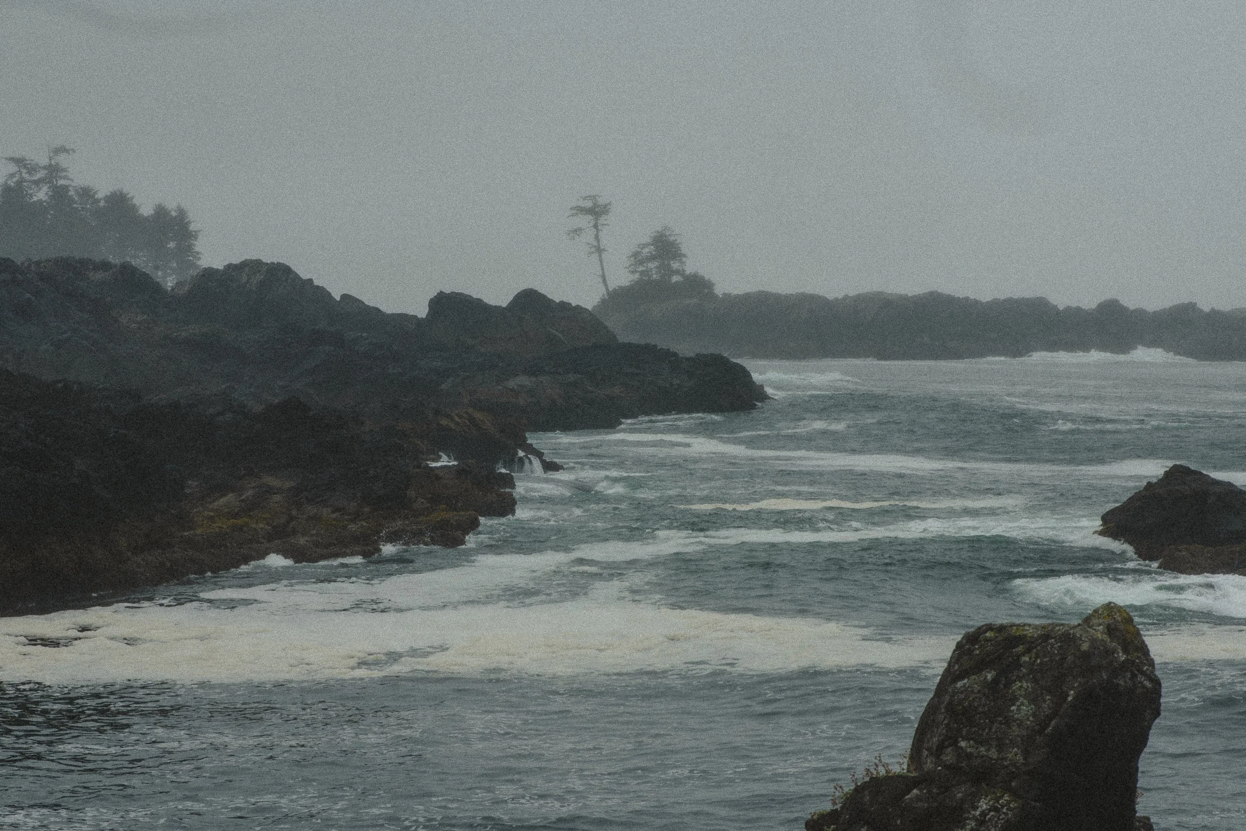 tofino-2024071837.jpg