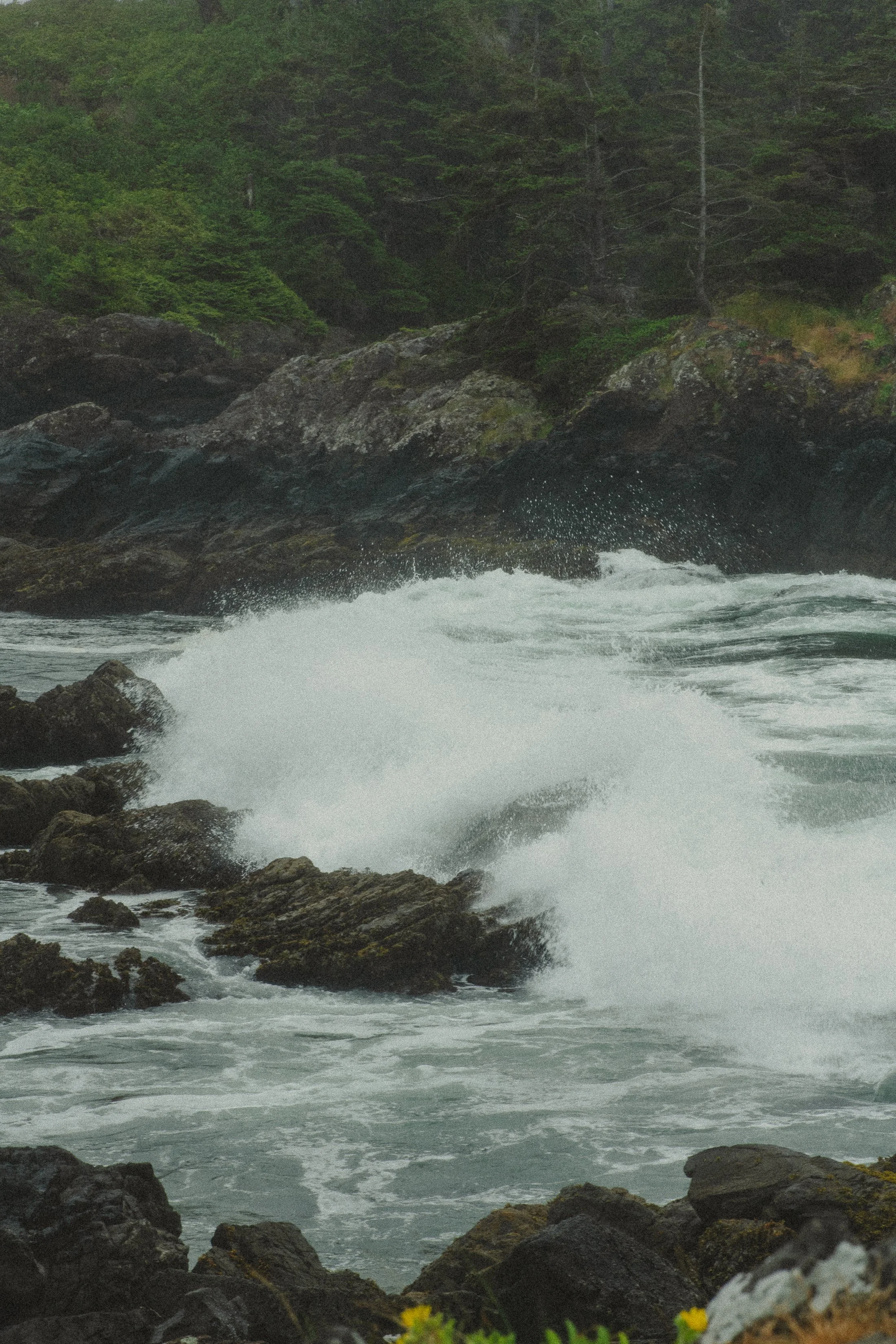 tofino-2024071838.jpg