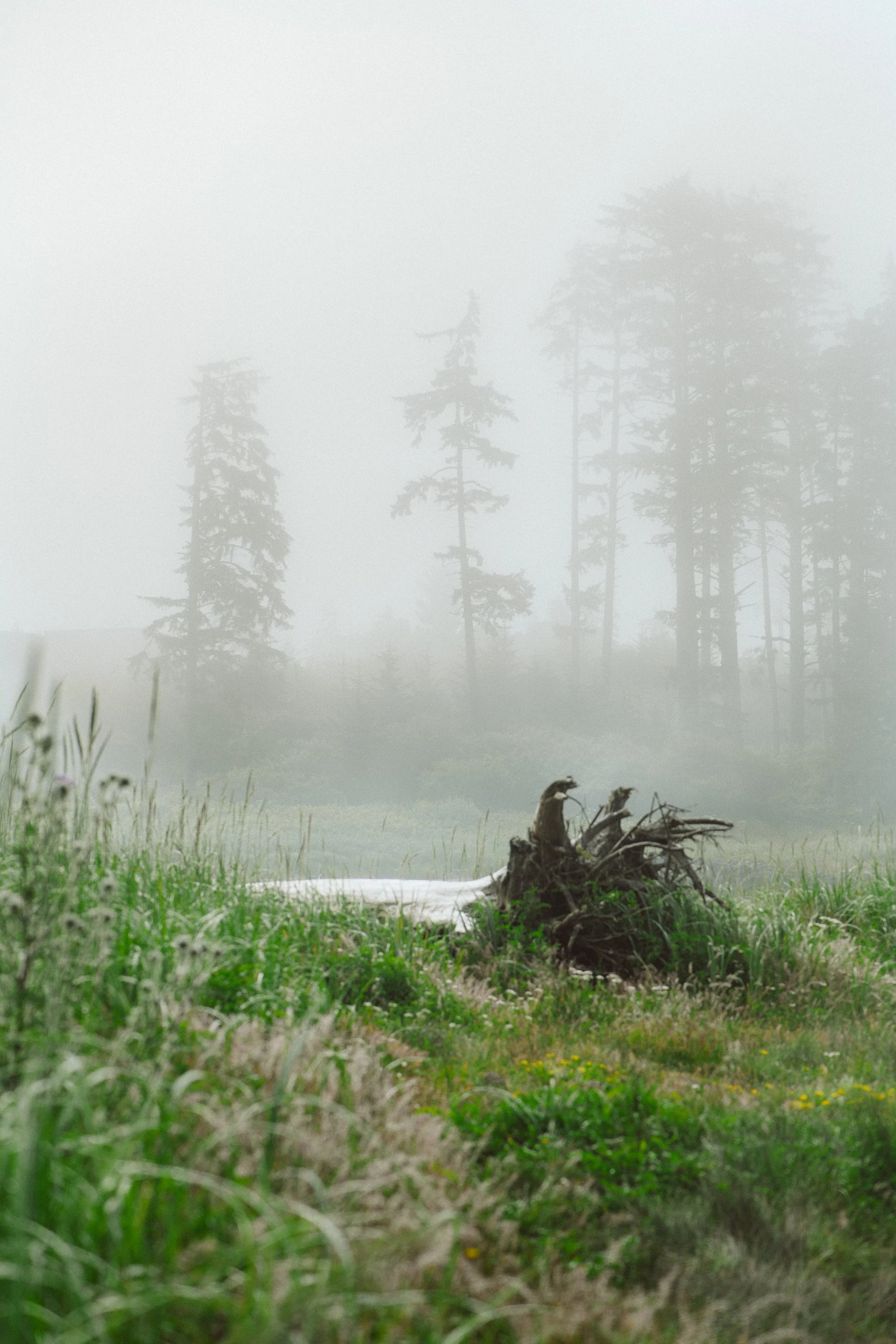 Tofino on Vancouver Island, Surfers in the evening by Valeria Castillo