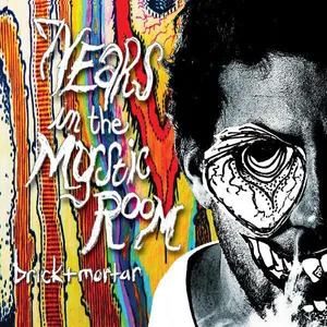 Album titled "7 years in the Mystic Room" by Brick and Mortar, featuring a black and white illustration of a person with glasses, eyes with intricate patterns, and a colorful, psychedelic background.