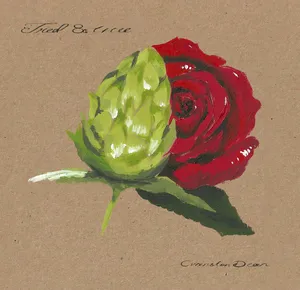 A watercolor painting of an artichoke and a red rose, with handwritten text in the top left and bottom right corners. Album art.