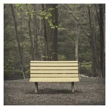 Empty yellow park bench in a wooded area. Album Art.