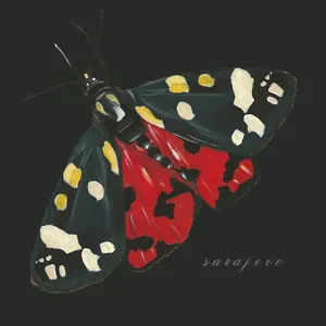 A butterfly with black wings decorated with yellow, white, and red spots. Sarajevo album cover.