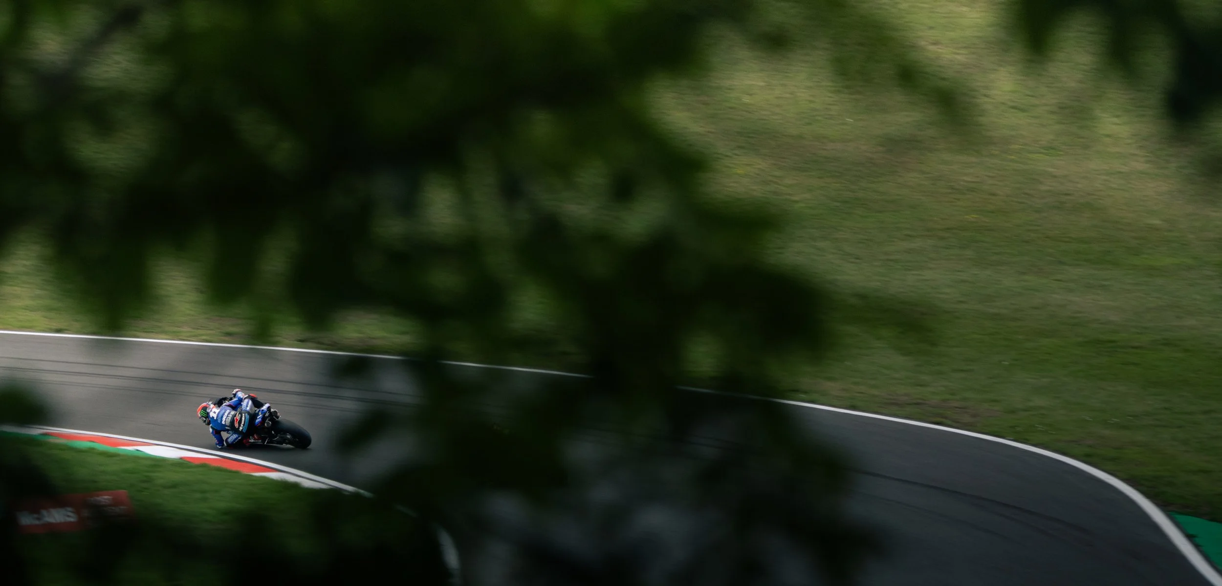 Motorcycle racing on a curvy race track, partially obscured by green leaves in the foreground.