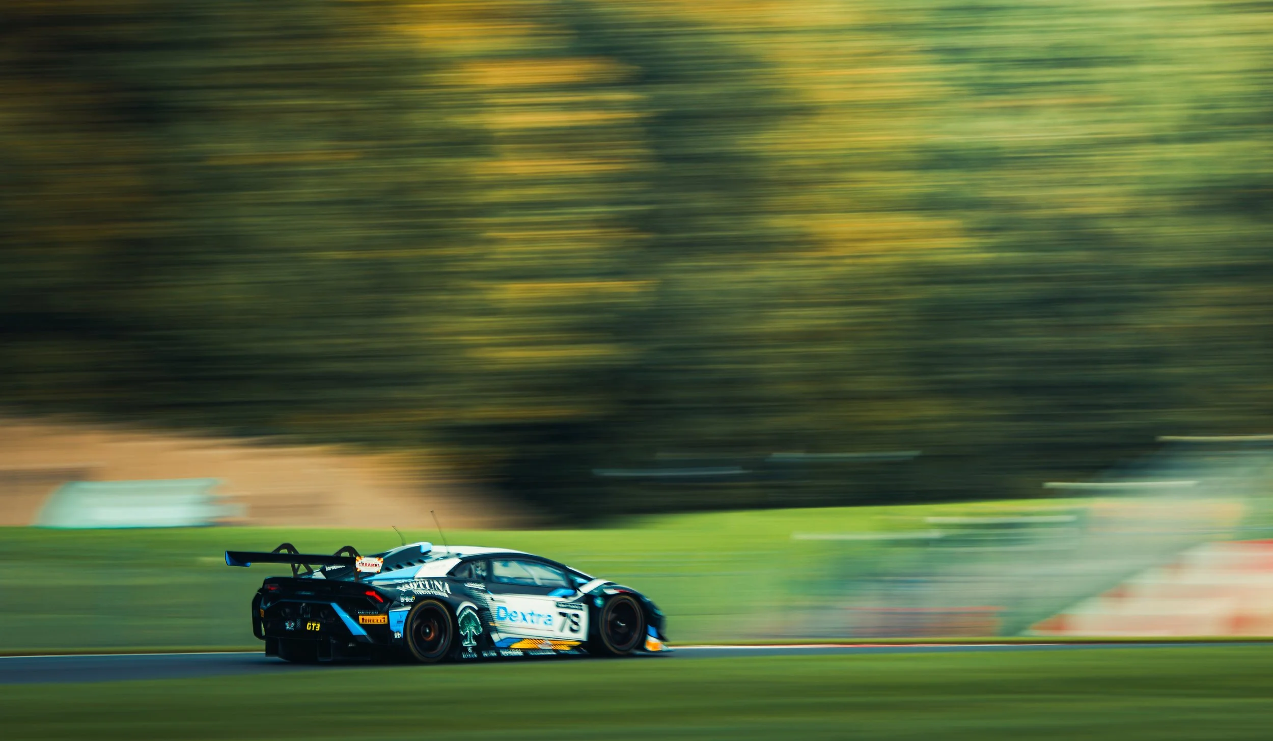 A black and blue race car speeding on a track with a blurred green, brown, and gray background.