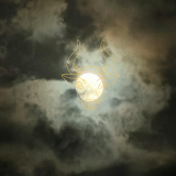 🌕👀 Full Moon in Taurus - The Beaver Moon