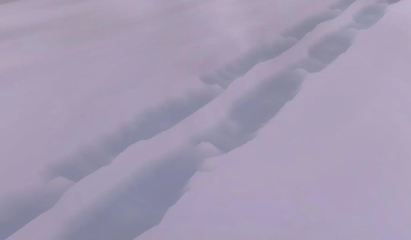 texture blending.jpg