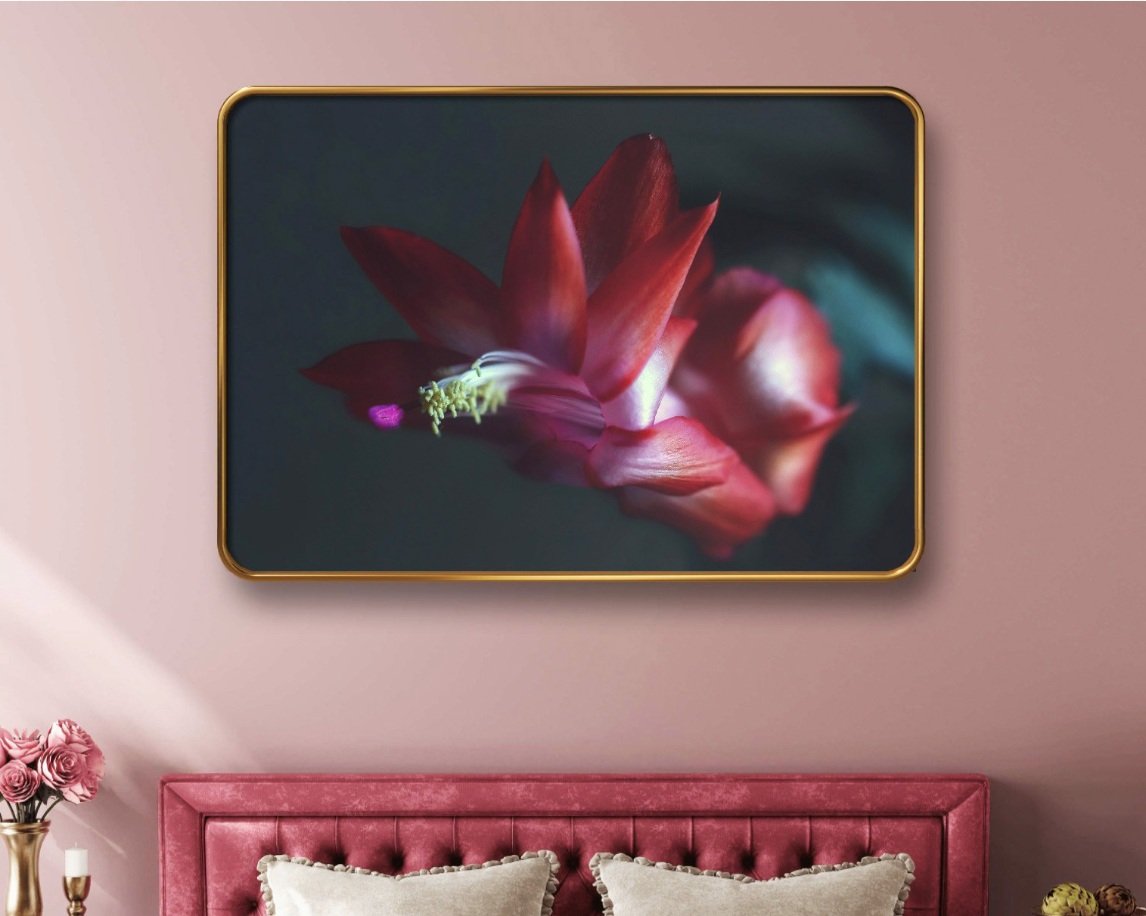 Photographic Decor