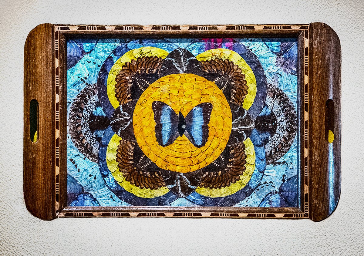 Jennifer Angus Lady Bug exhibit Butterfly Tray.jpg