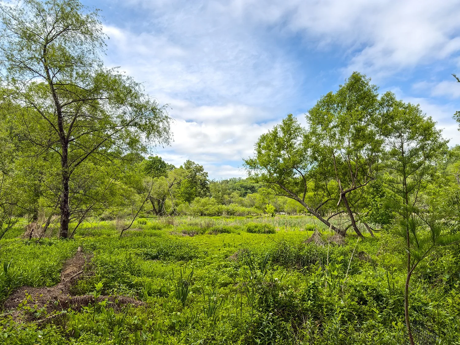 Best Nature Photography Spot in Canton GA: Cox Arboretum and Gardens