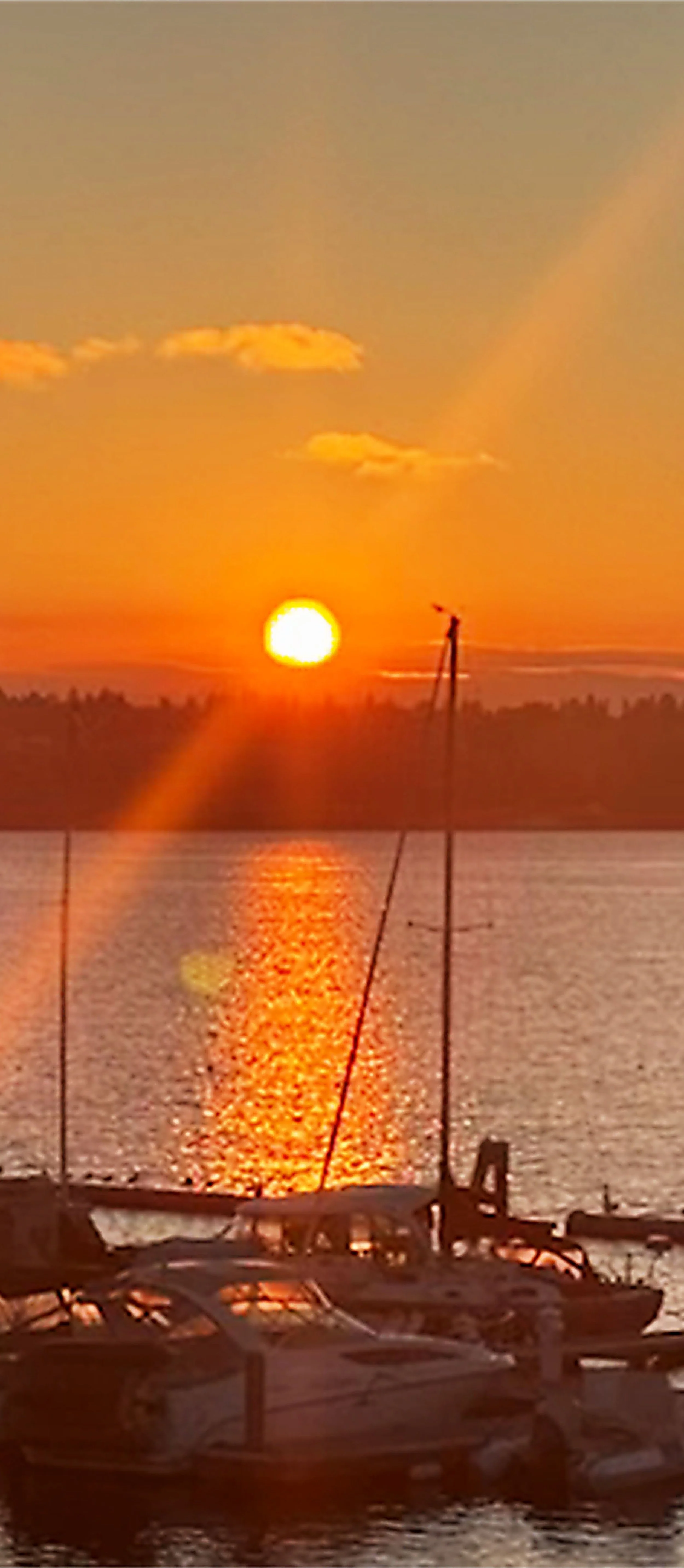 Sunset over a body of water with boats docked in the foreground.