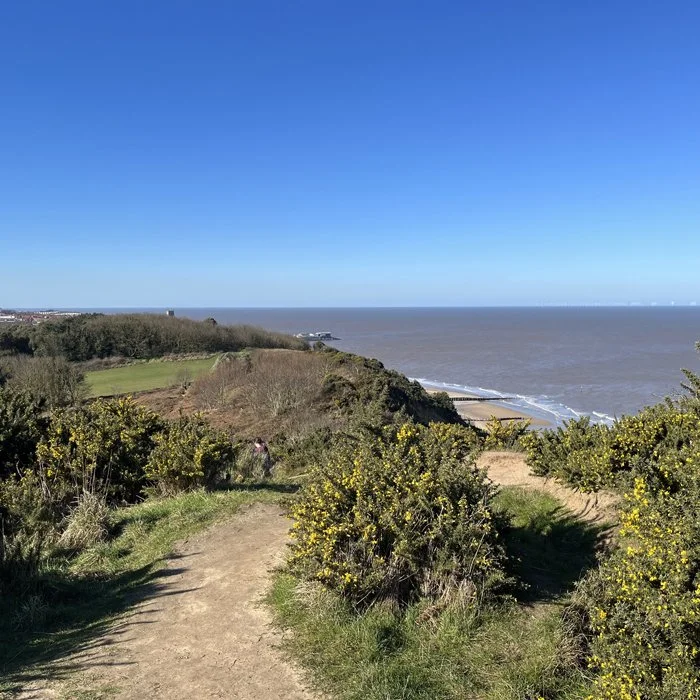 kings-lynn-coastal-1.jpg