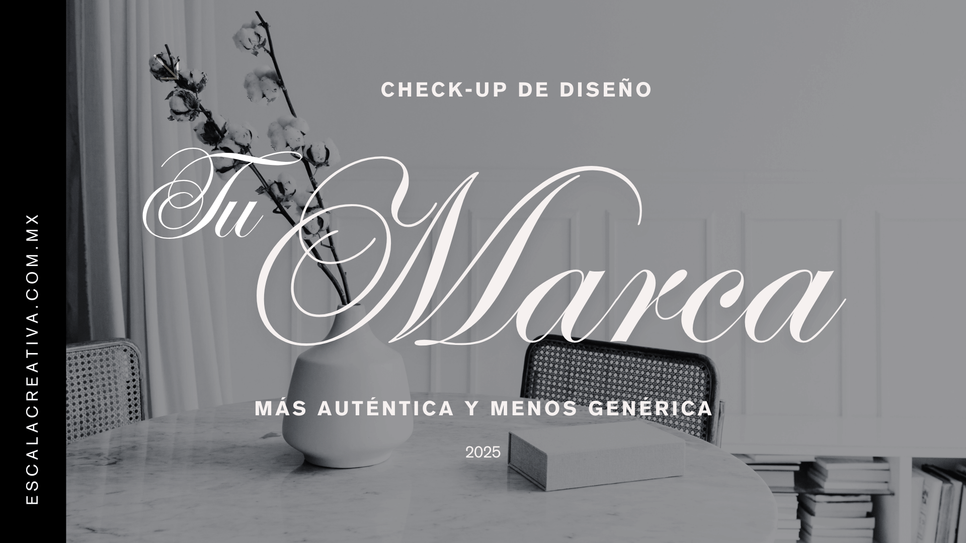 checkup-diseño.png