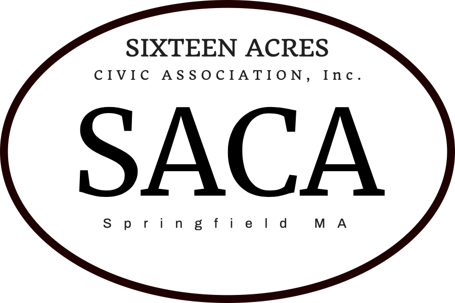 SACA Monthly Meeting