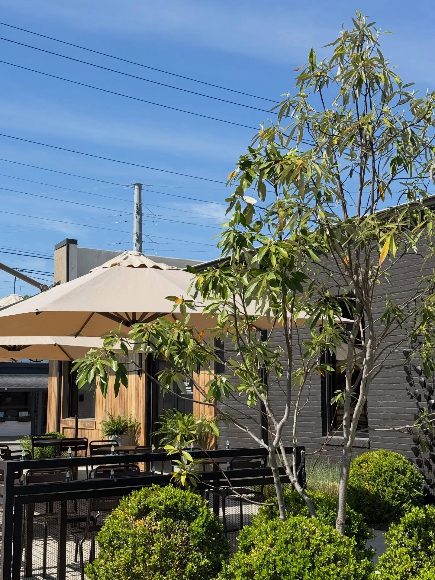 Lunch time!! Our Spring Lunch Menu is fresh and full of tasty new dishes - come dine with us this week!