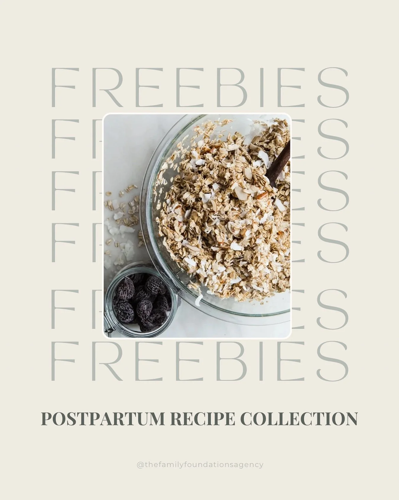 LIMITED: Use the code FREEBIES and the first 10 people will get a free copy of our collection of Postpartum Recipes. 

It includes: 
🤍 8 Recipes for Snacks 
🤍 11 Recipes for Breakfast 
🤍 8 Recipes for Main Courses (with meat) 
🤍 8 Recipes for Mai