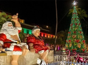 Find us this Saturday evening in front of the Inspiration Hawaii Museum on Richards &amp; King Street, from 5-9 pm, for the Opening Night of the Honolulu City Lights Parade. Also in the area, a block party featuring local food vendors will be held al