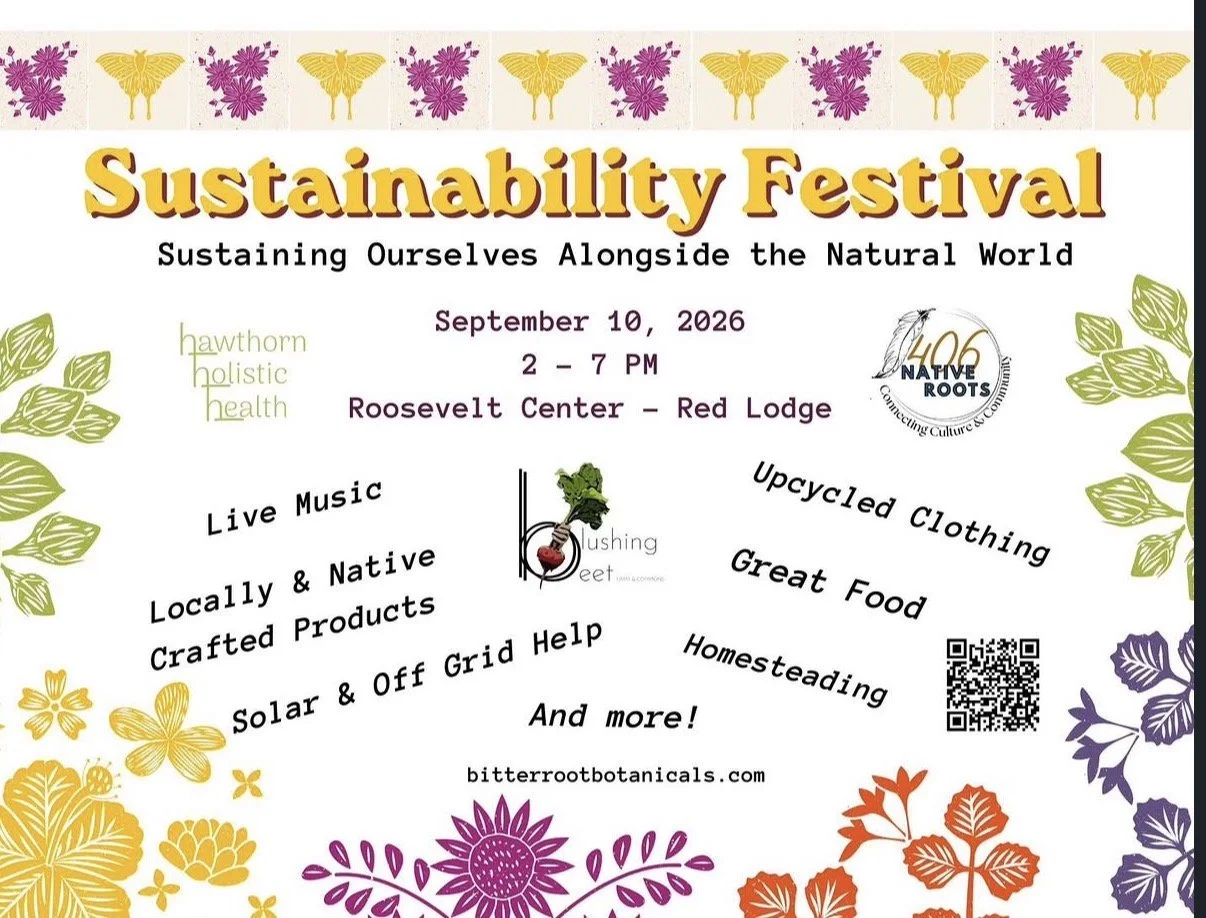 Sustainability Festival