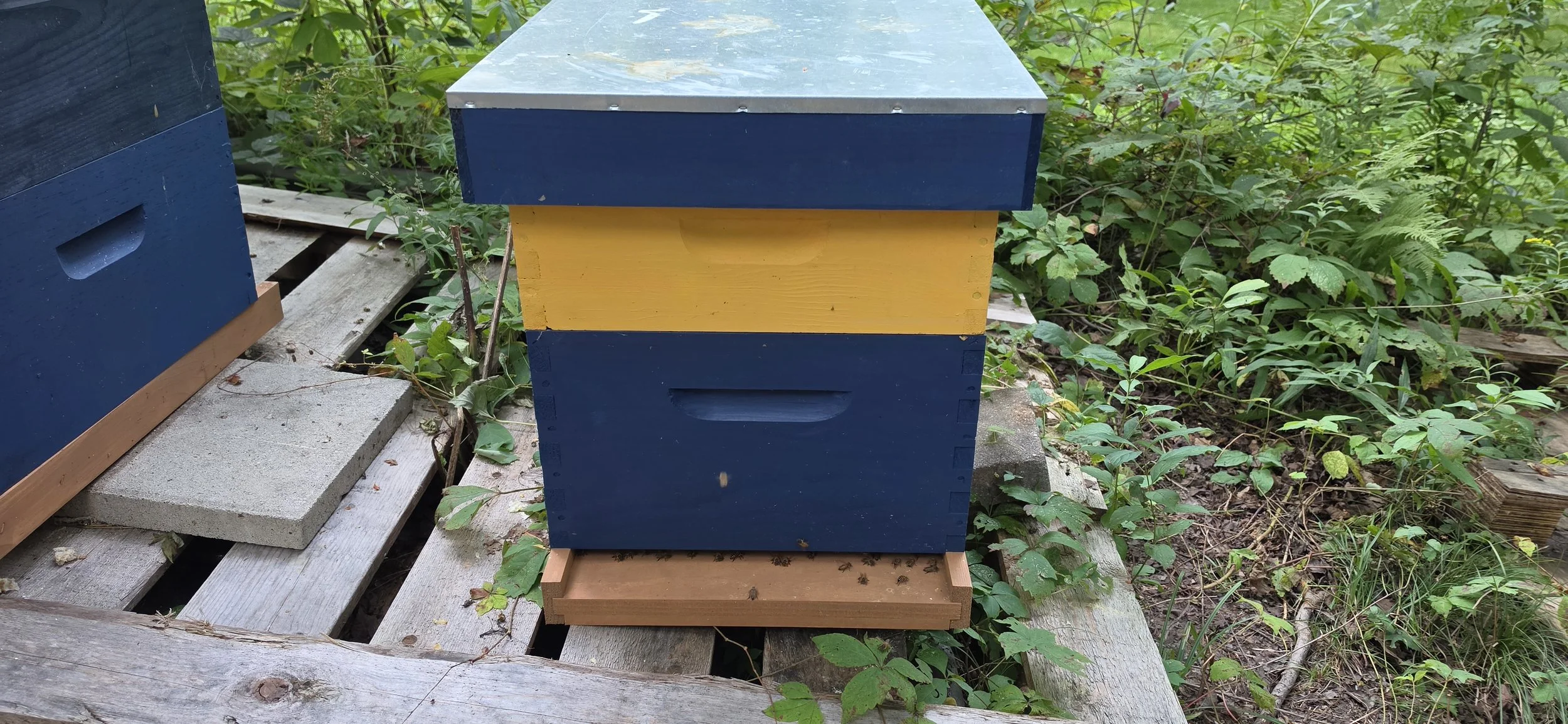 Complete Hive