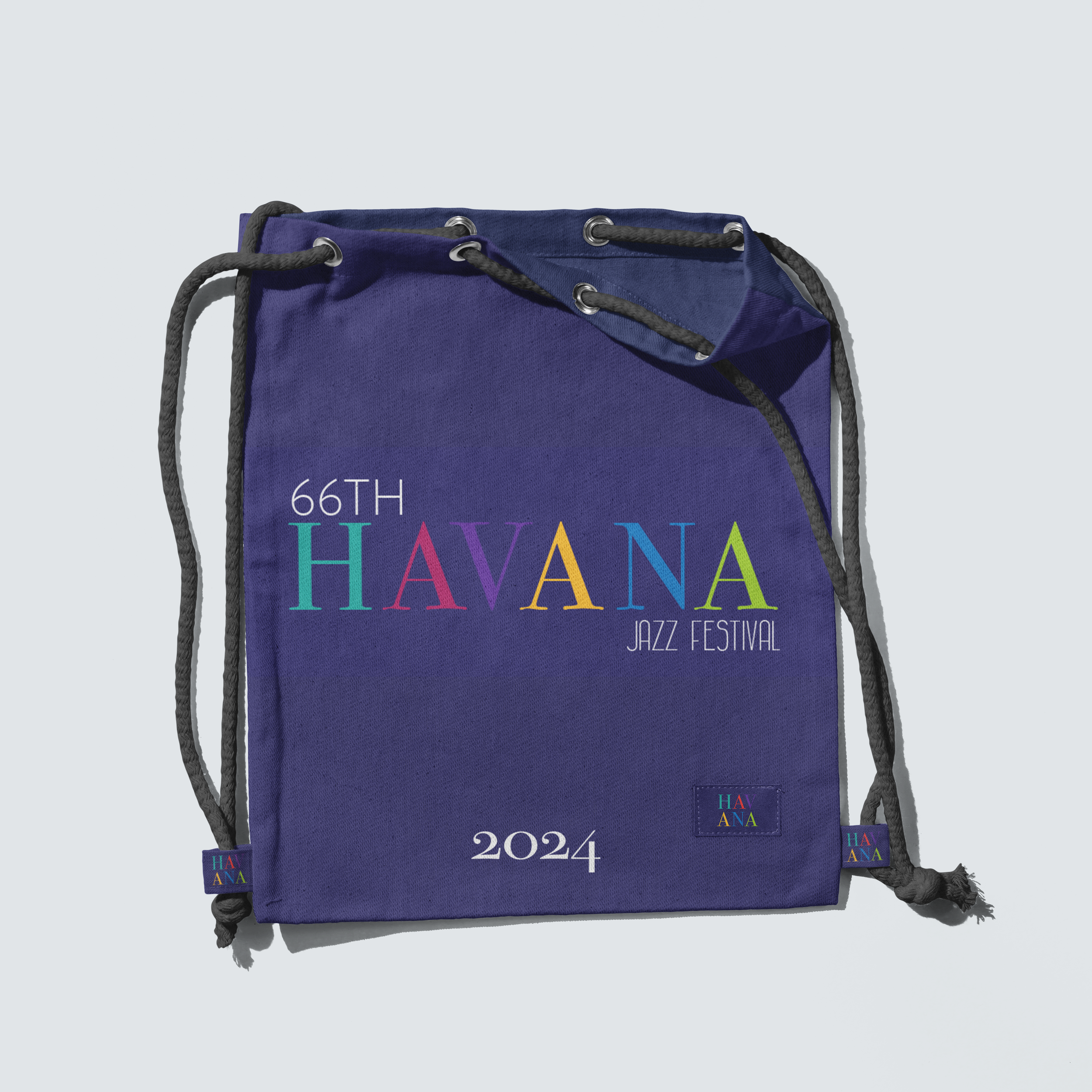 Bag Mockup.png