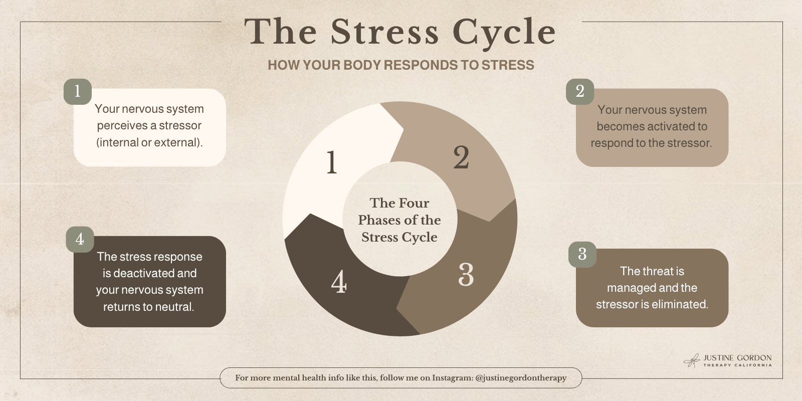 A Driven Person’s Guide to the Stress Cycle: Why It May Be Causing Your Burnout &amp; What You Can Do About It