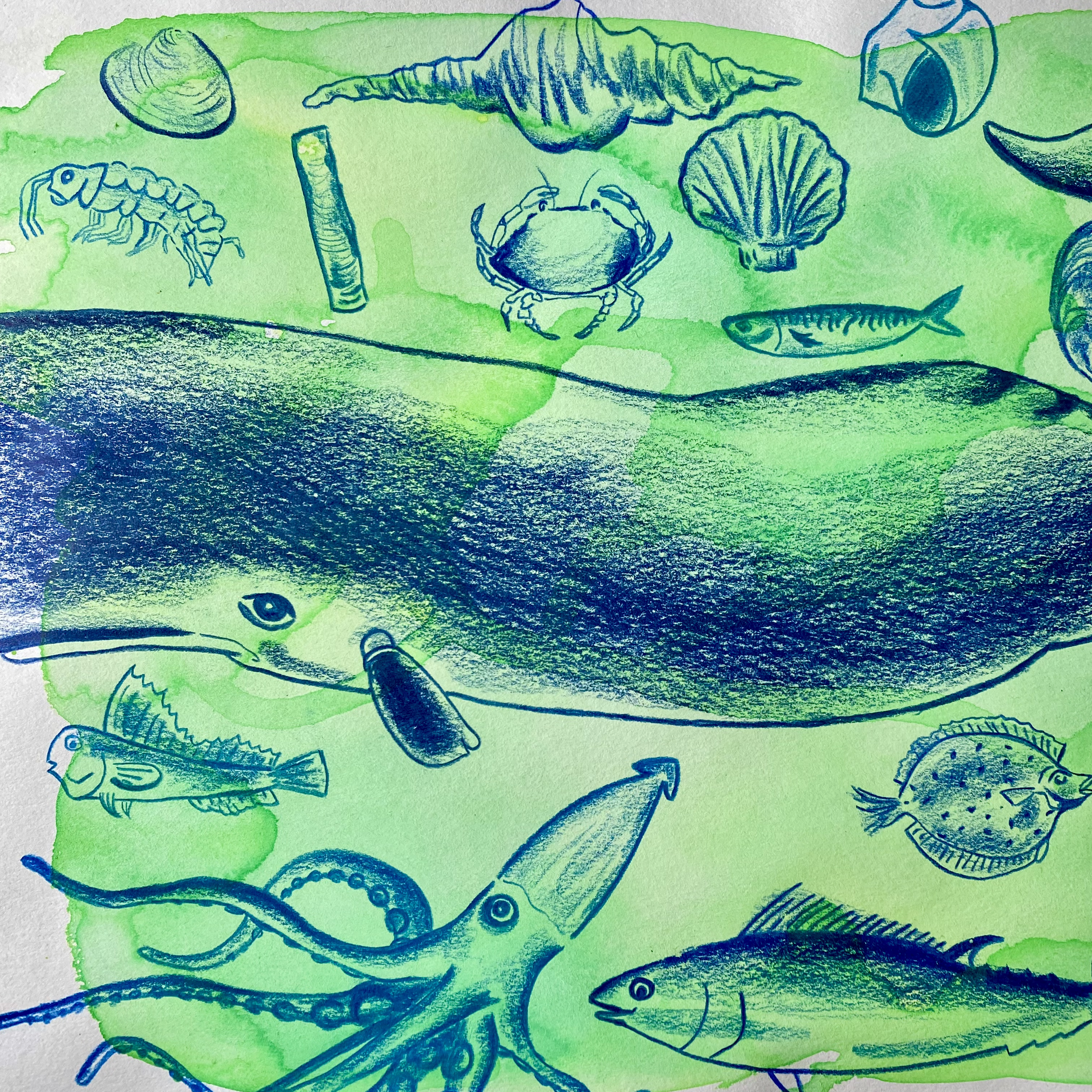 Unter Wasser (Wasserfarben, Buntstifte)
