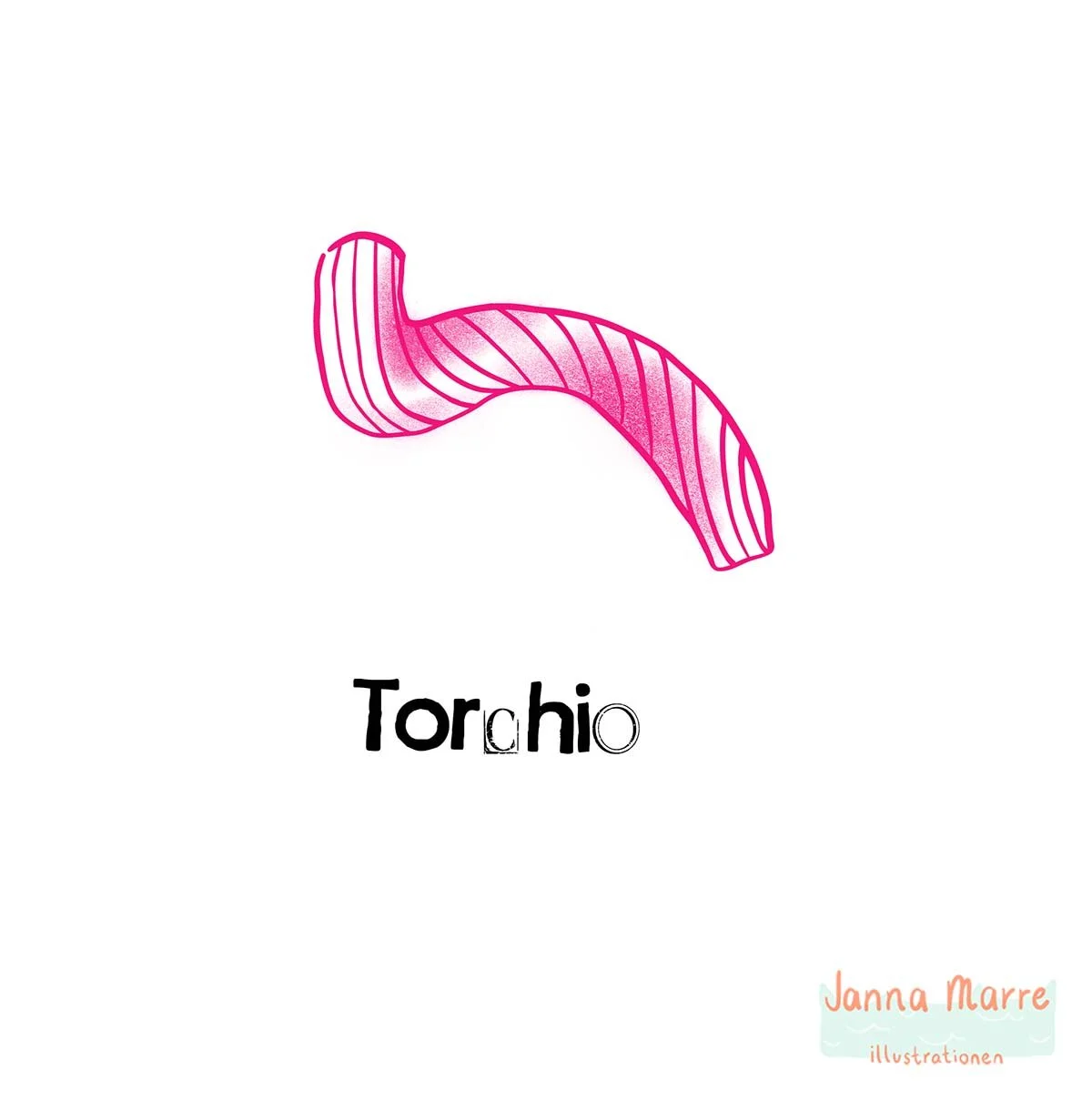 Torchio Illustration