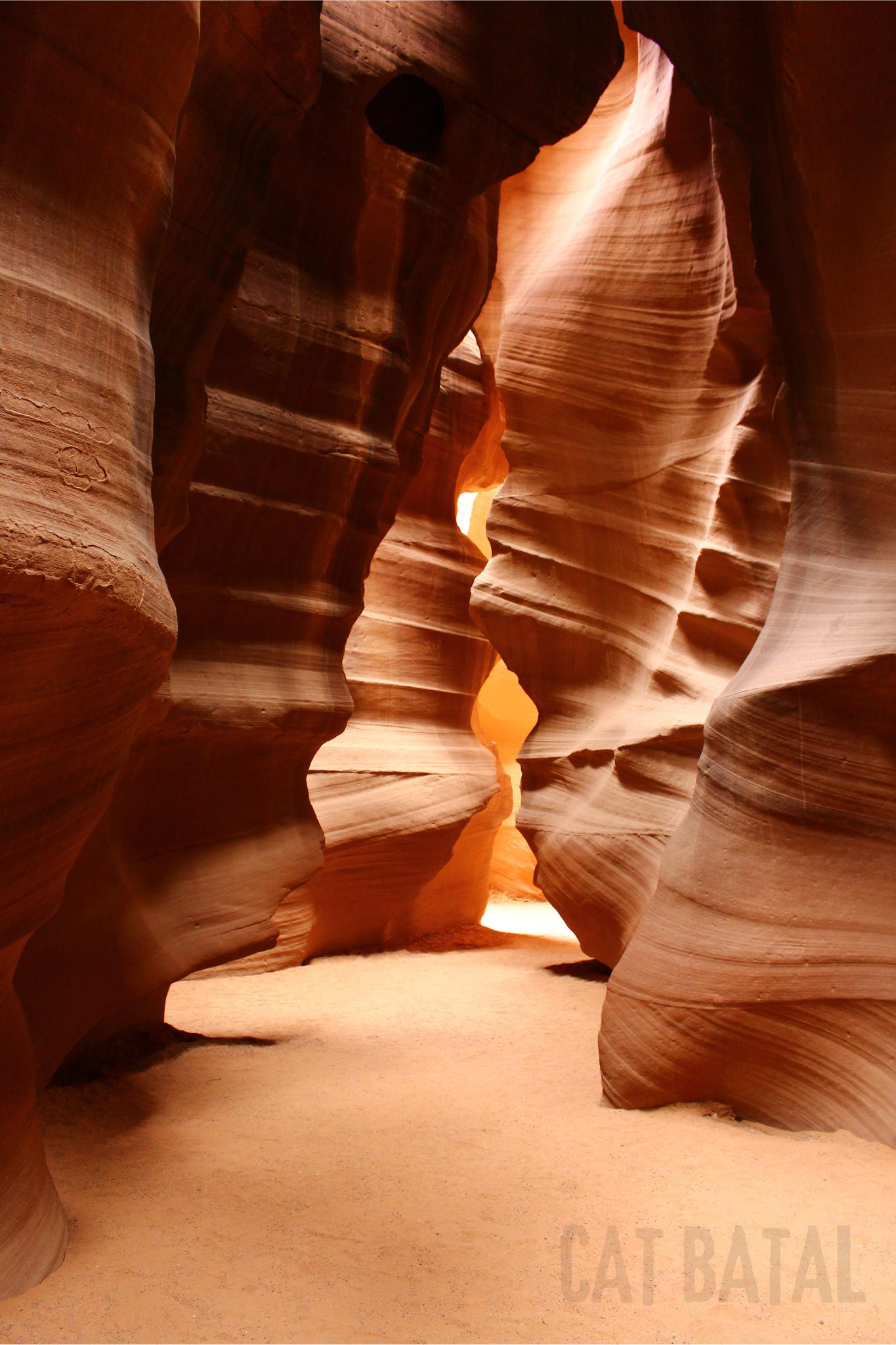 CAT BATAL copy 2.png