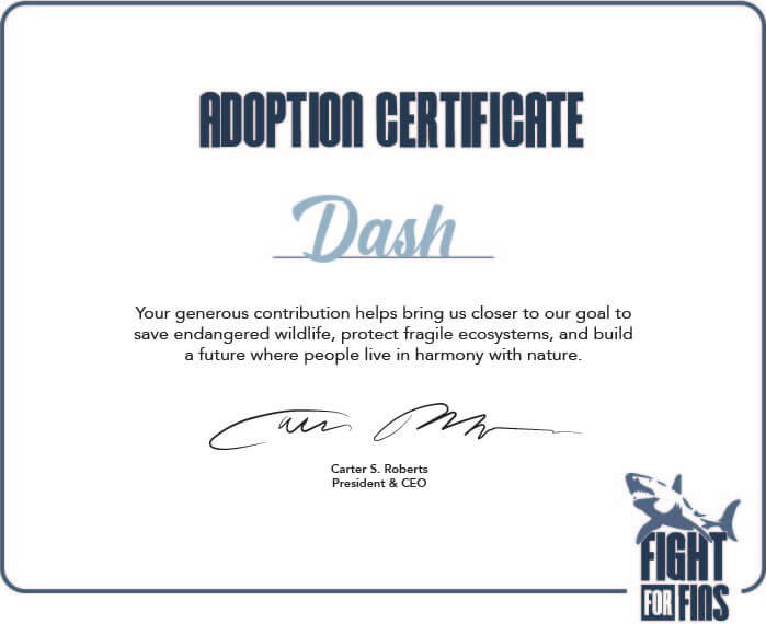 ADOPTION CERTIFICATE